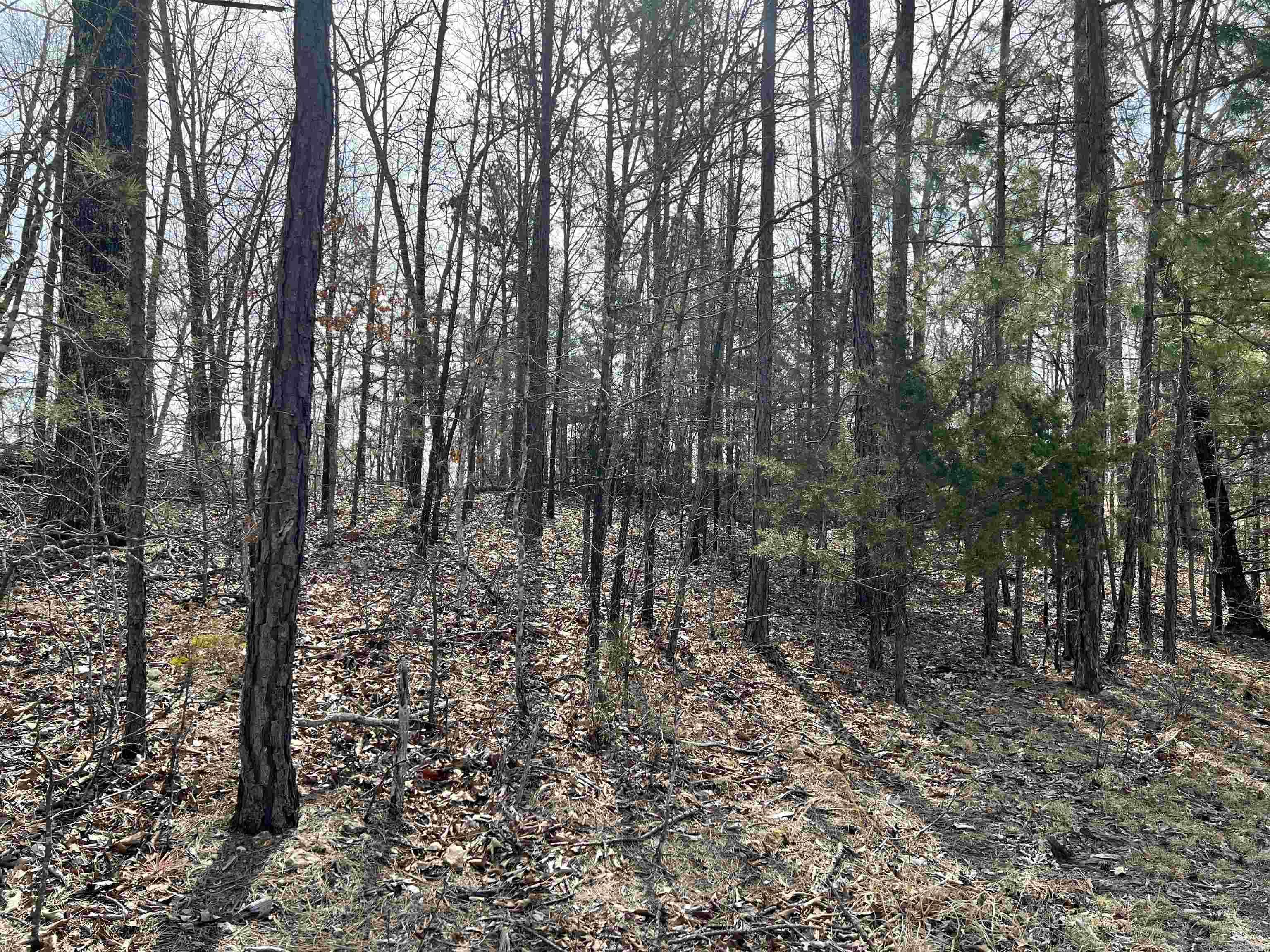 Not in Subdivision - Land