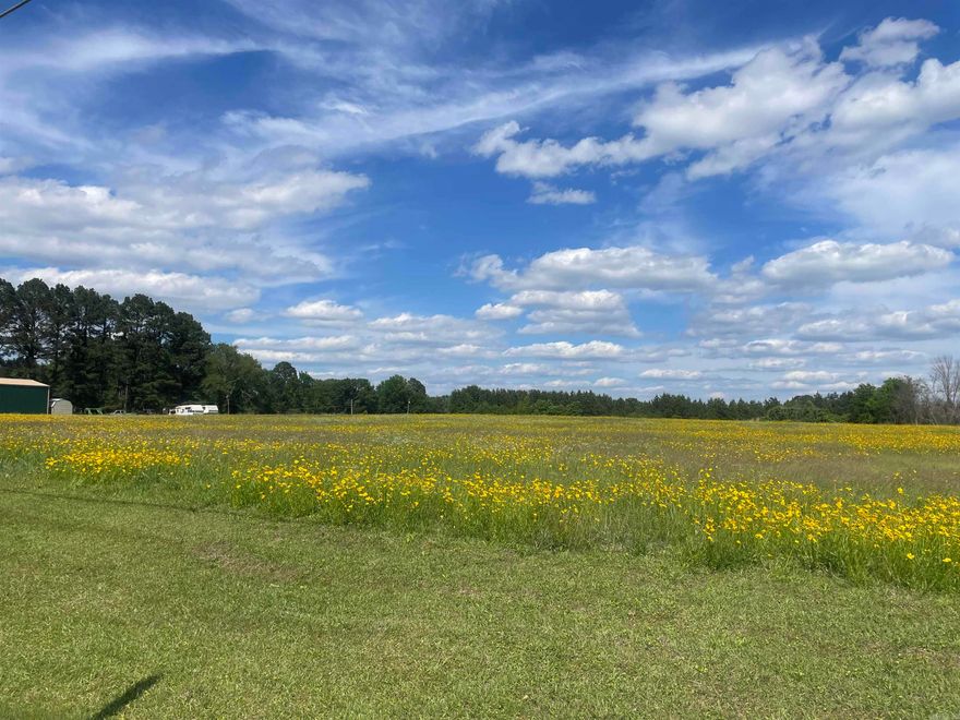 Looking to build your own homestead/farm or ranch!  Look no further this 36.1 acres has it all. A combination of pastureland and woods even a small pond.  Public water, natural gas, and internet are available.   A very nice piece of property.  Take a look today! Agents see remarks!