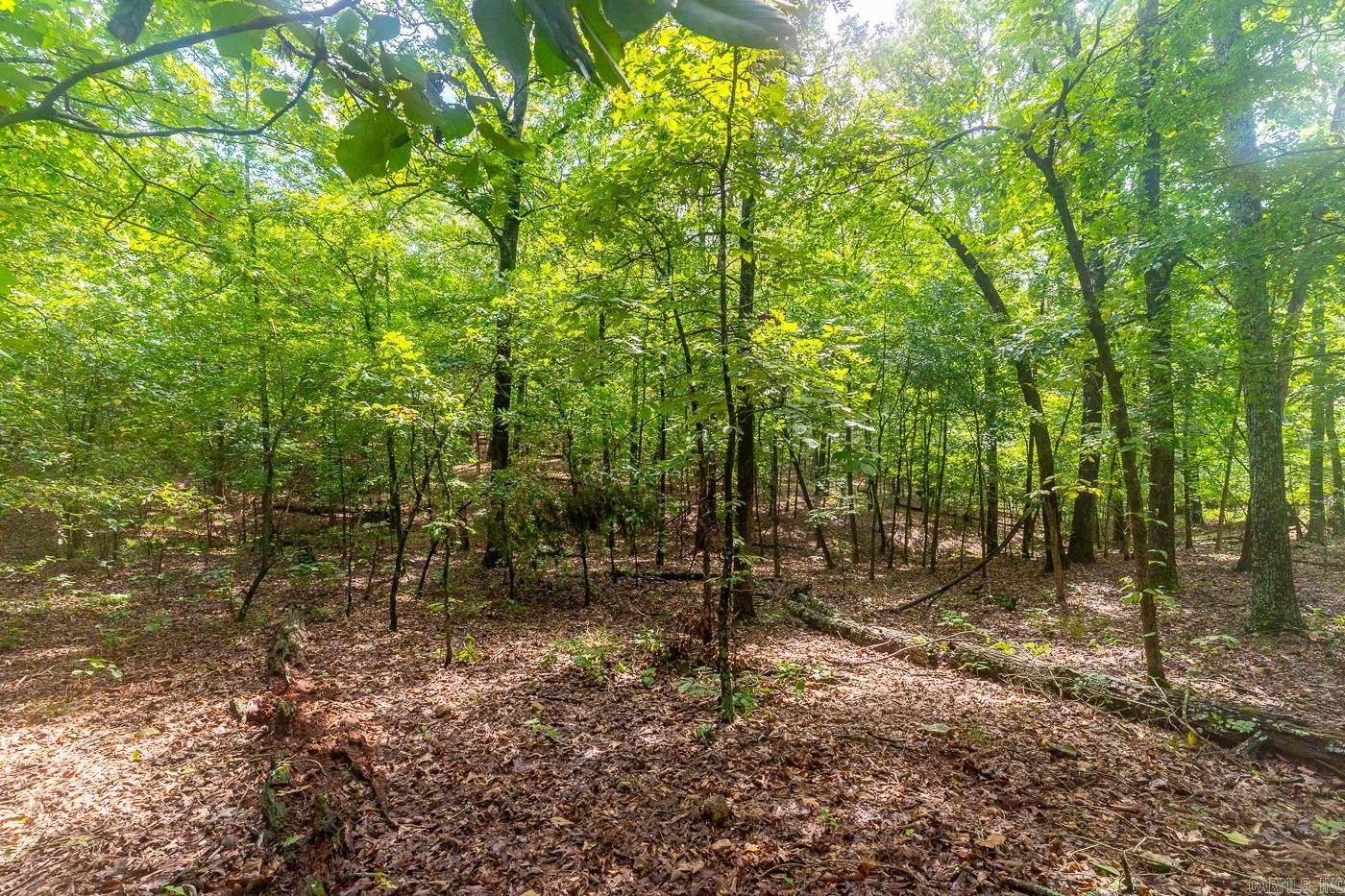 BELL FOLEY ESTATES - Land