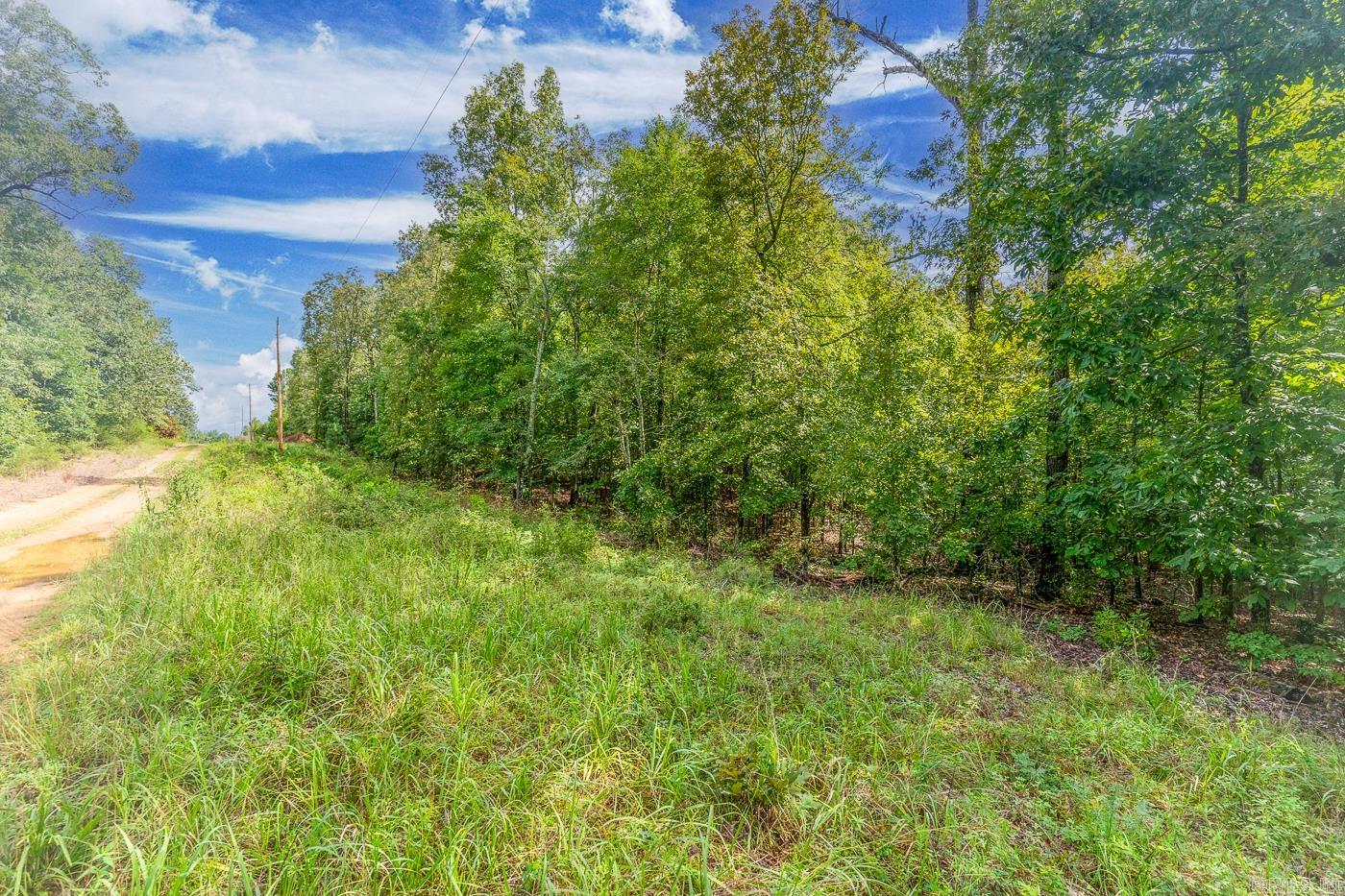 BELL FOLEY ESTATES - Land