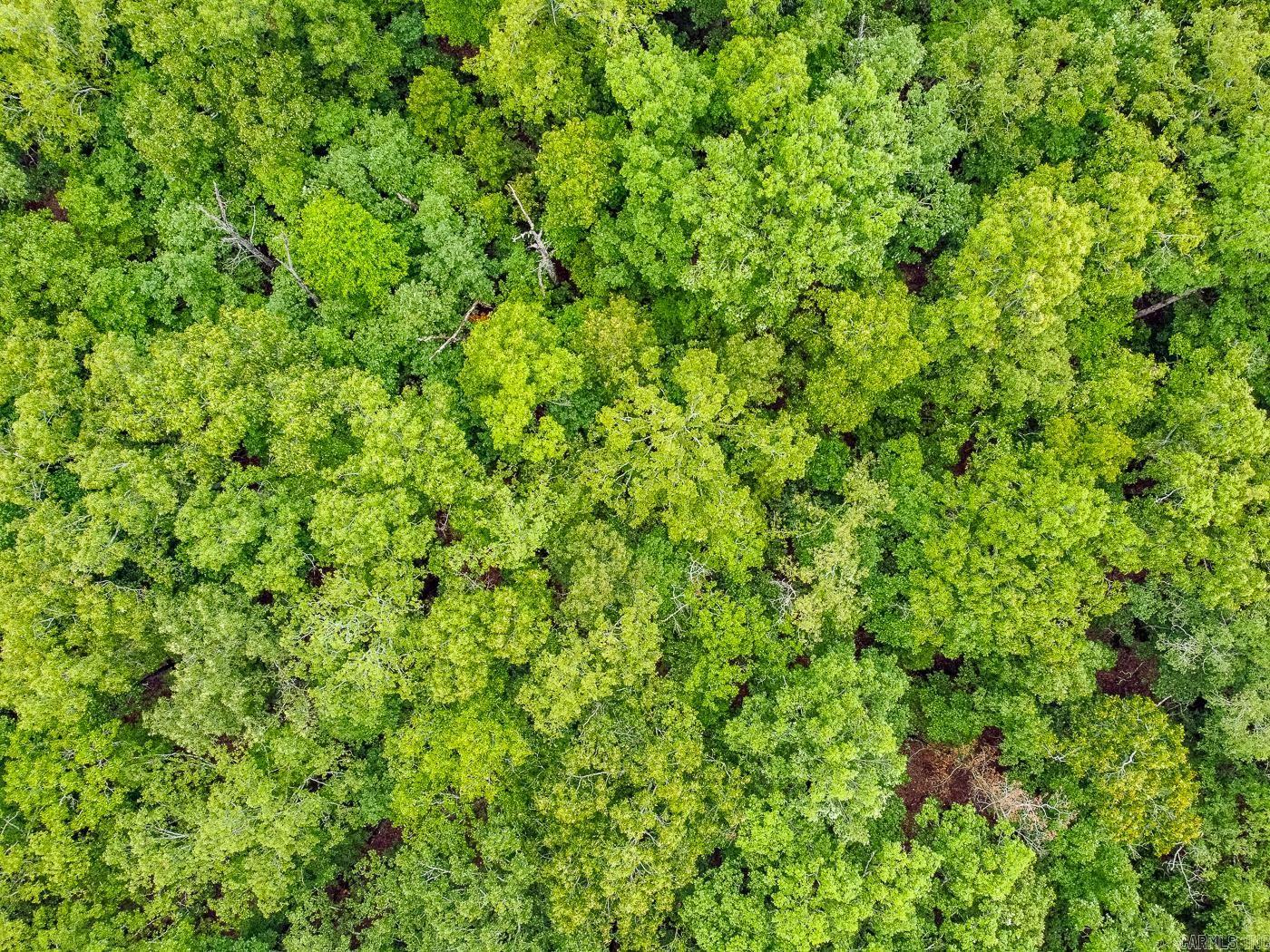 BELL FOLEY ESTATES - Land