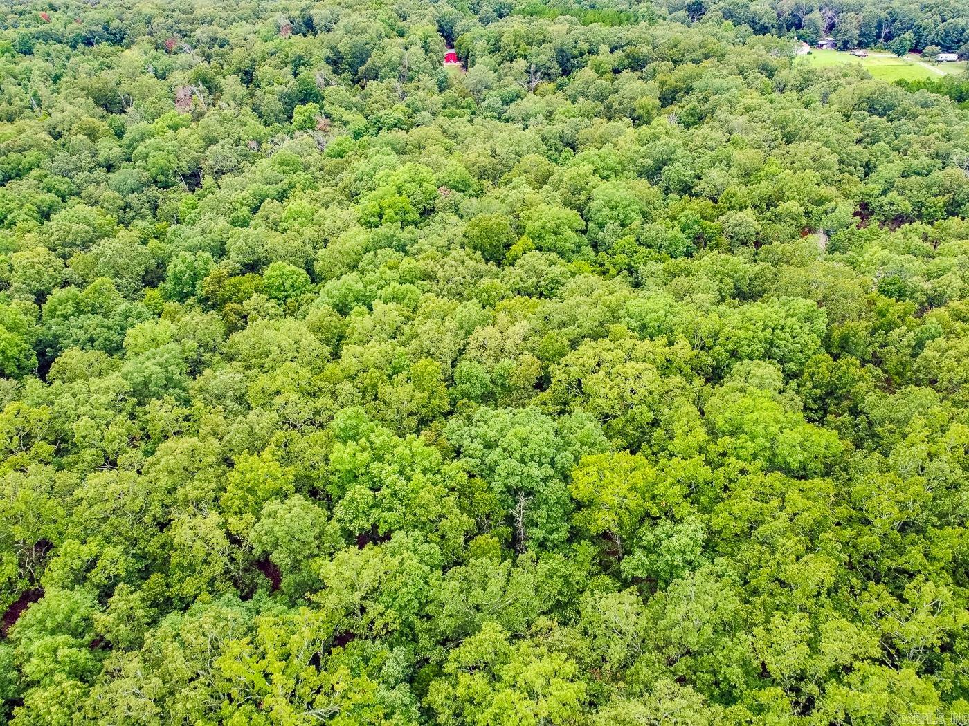 BELL FOLEY ESTATES - Land