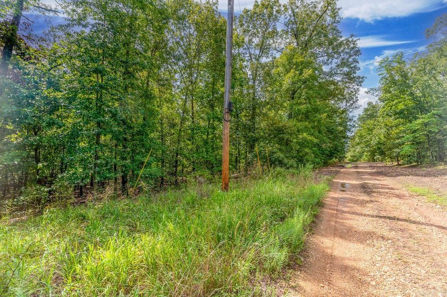 Welcome to the market 34 Bell Foley! This is a wooded 5 +/- Acres located in Poughkeepsie, AR that would make a great place to build that forever home! Water and electric are both close! This lot has mature trees on it and a home tucked in the middle would be private and gorgeous! Just about 15 minutes from Cave City, AR. Discover your own private paradise with this captivating five-acre property nestled in Poughkeepsie, Arkansas. As you enter this pristine slice of nature, you'll be greeted by the soothing sounds of a meandering creek that runs gracefully along the backside of the property as a natural boundary line. This unique feature sets the stage for a tranquil and picturesque setting that's perfect for nature enthusiasts and those seeking a peaceful escape. Call today to invest in your tomorrow!