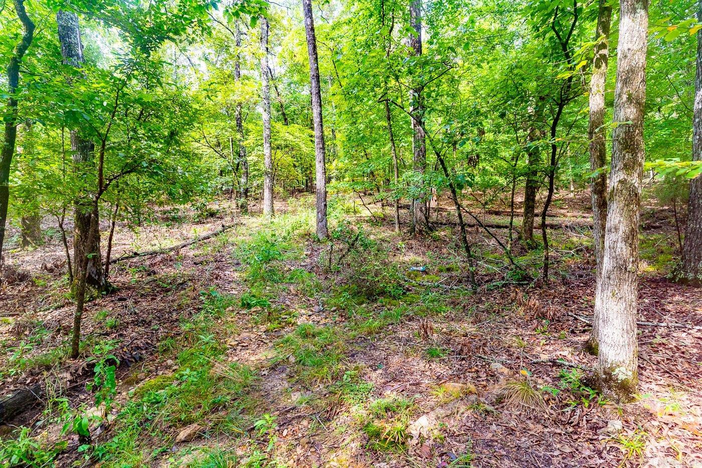 BELL FOLEY ESTATES - Land