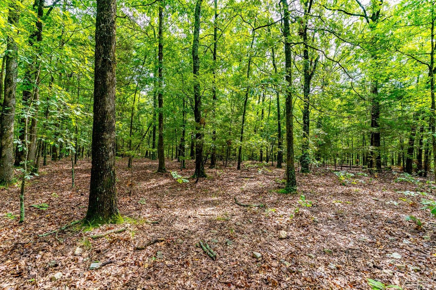 BELL FOLEY ESTATES - Land