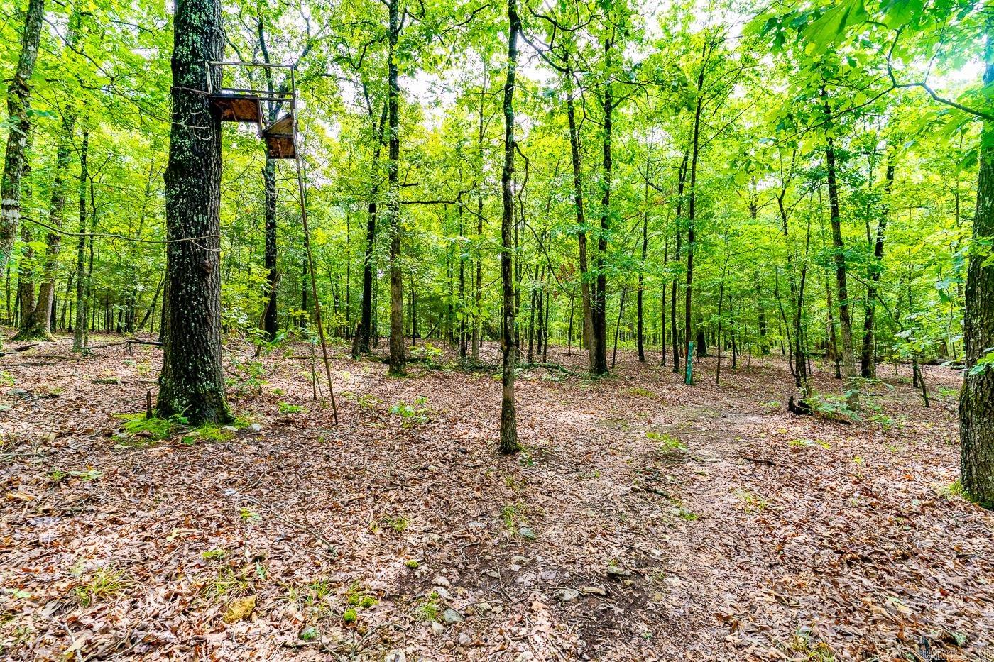 BELL FOLEY ESTATES - Land