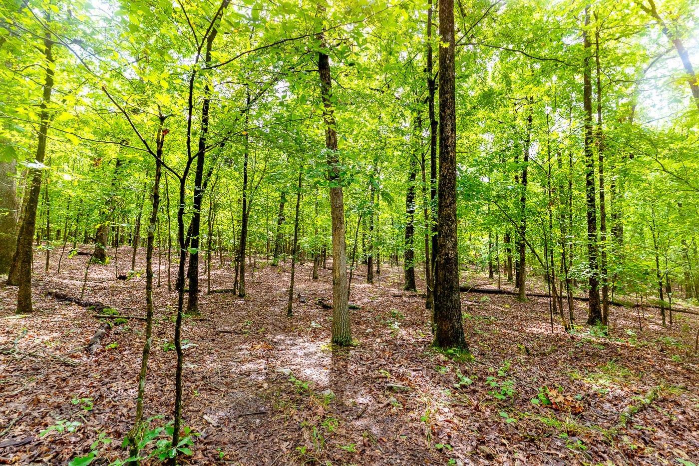 BELL FOLEY ESTATES - Land