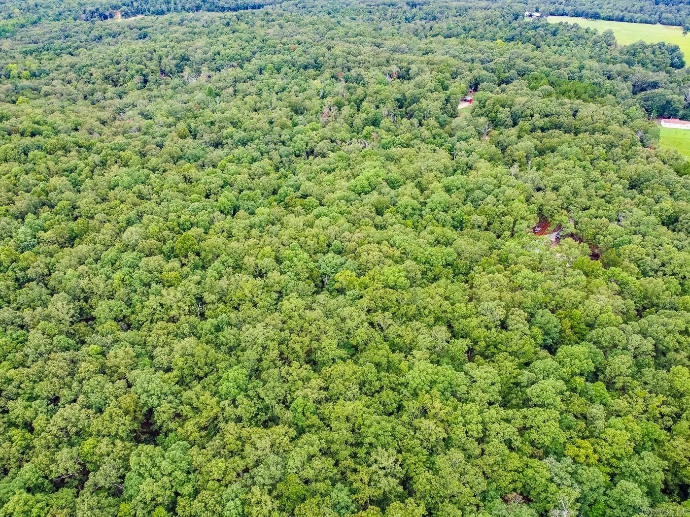 BELL FOLEY ESTATES - Land