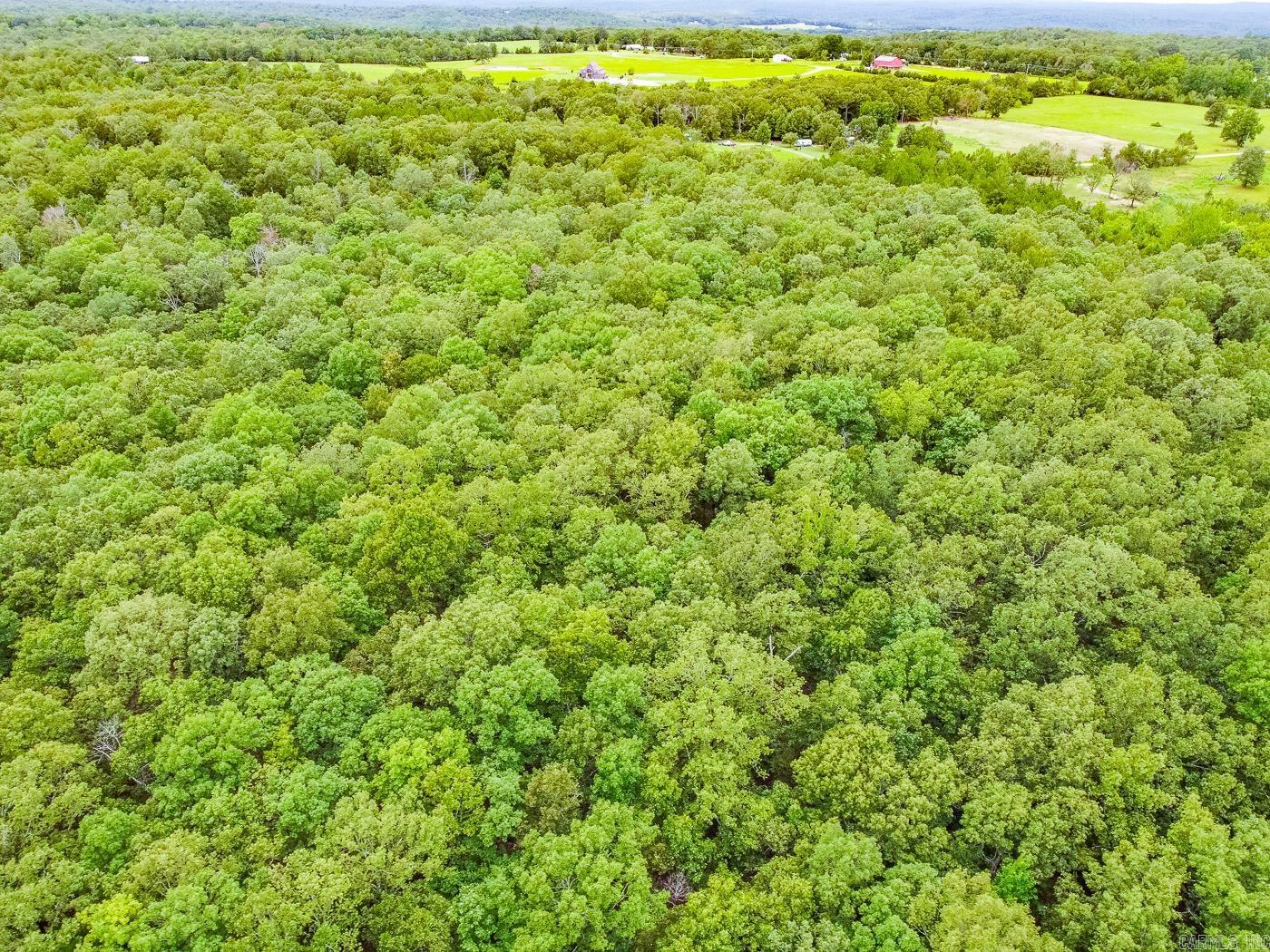 BELL FOLEY ESTATES - Land