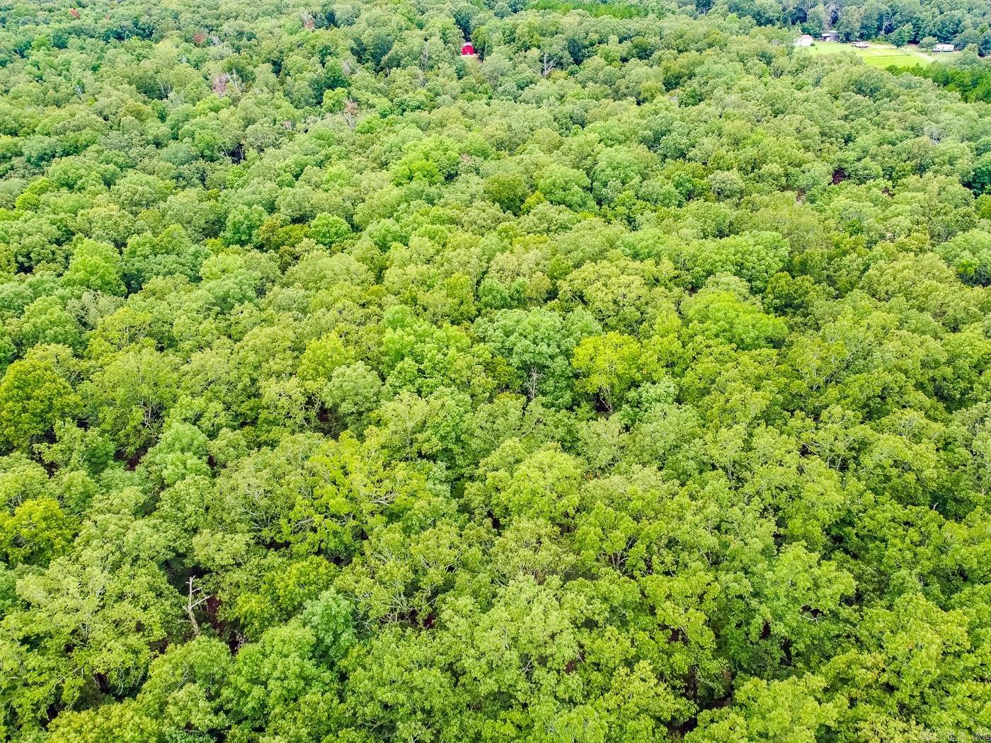 BELL FOLEY ESTATES - Land