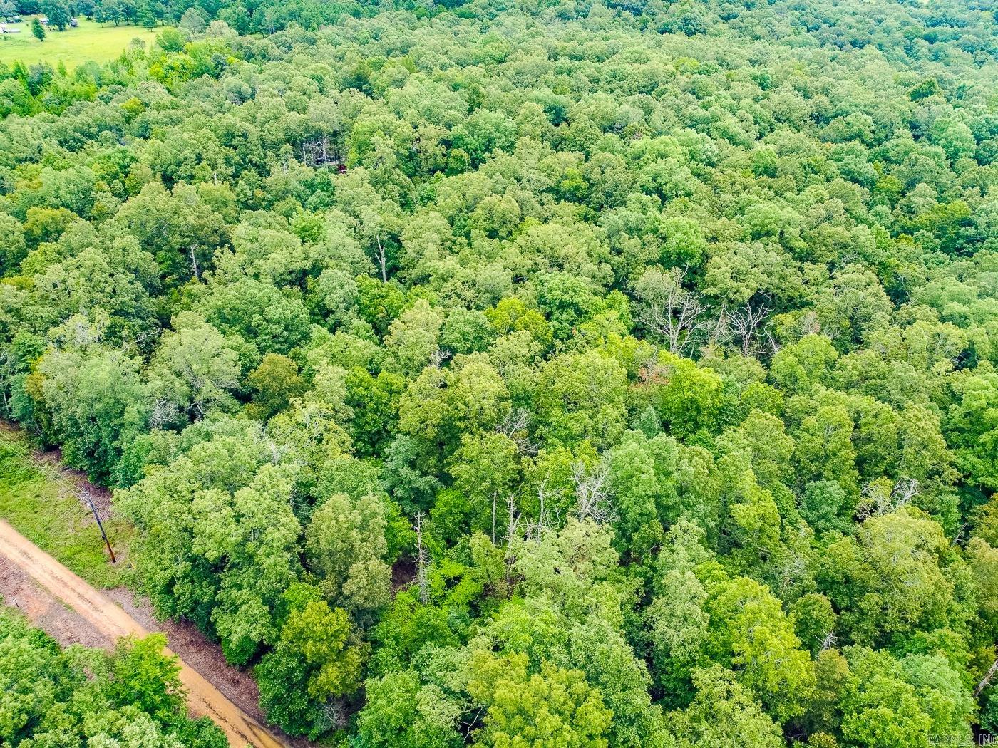 BELL FOLEY ESTATES - Land