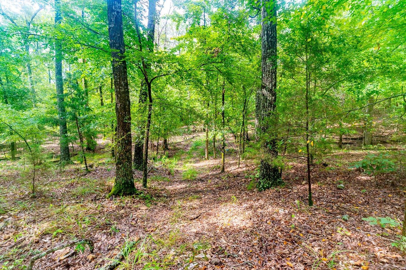 BELL FOLEY ESTATES - Land