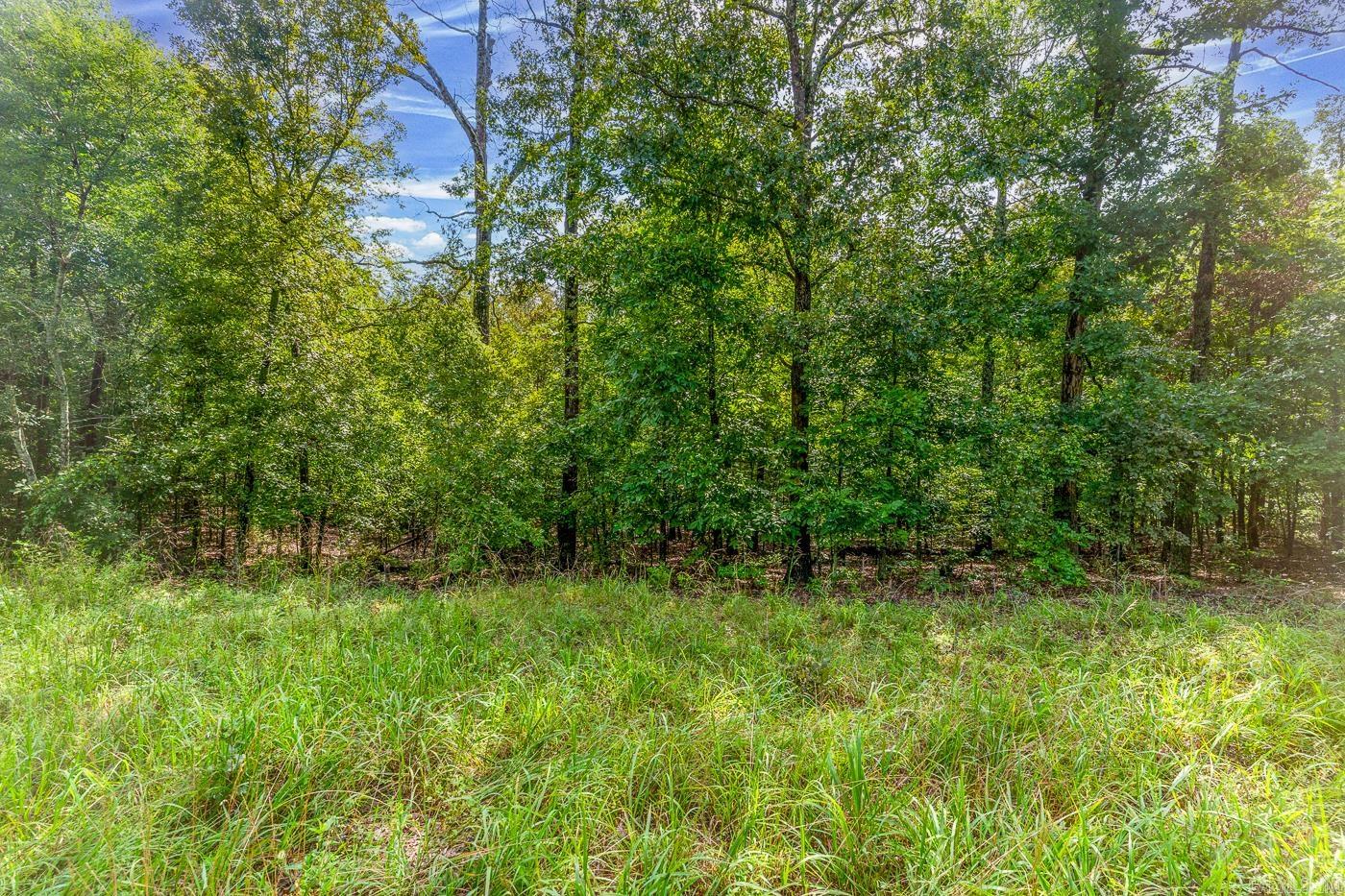 BELL FOLEY ESTATES - Land