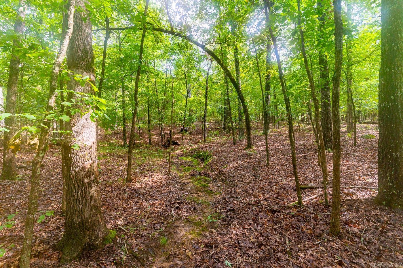 BELL FOLEY ESTATES - Land