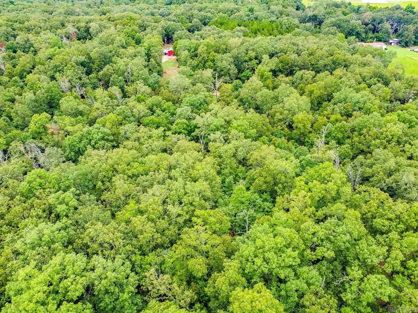 BELL FOLEY ESTATES - Land