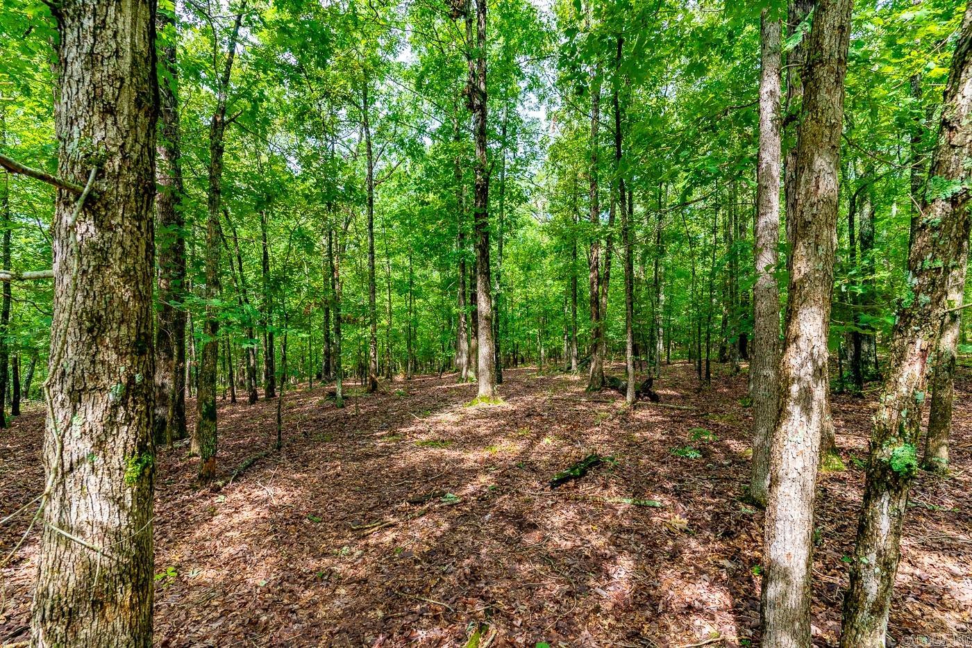 BELL FOLEY ESTATES - Land