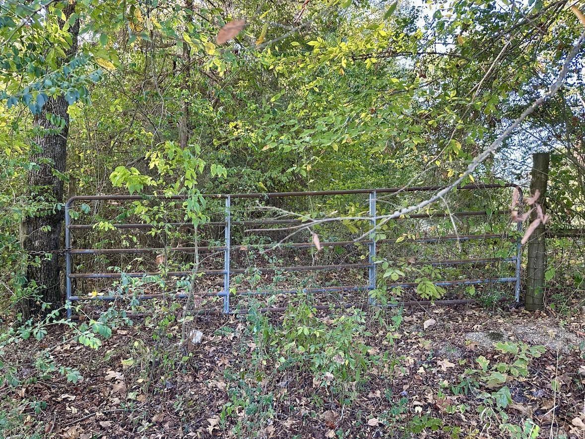 Approximately 3.1 acres of wooded and cleared land off of a paved county road. Partially fenced. Pond with a dock. NO RESTRICTIONS. Large trees for shade! Utilities close by. Perfect place to build your new home!