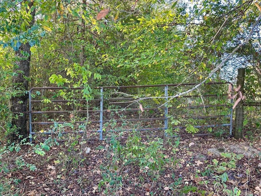 Approximately 3.1 acres of wooded and cleared land off of a paved county road. Partially fenced. Pond with a dock. NO RESTRICTIONS. Large trees for shade! Utilities close by. Perfect place to build your new home!