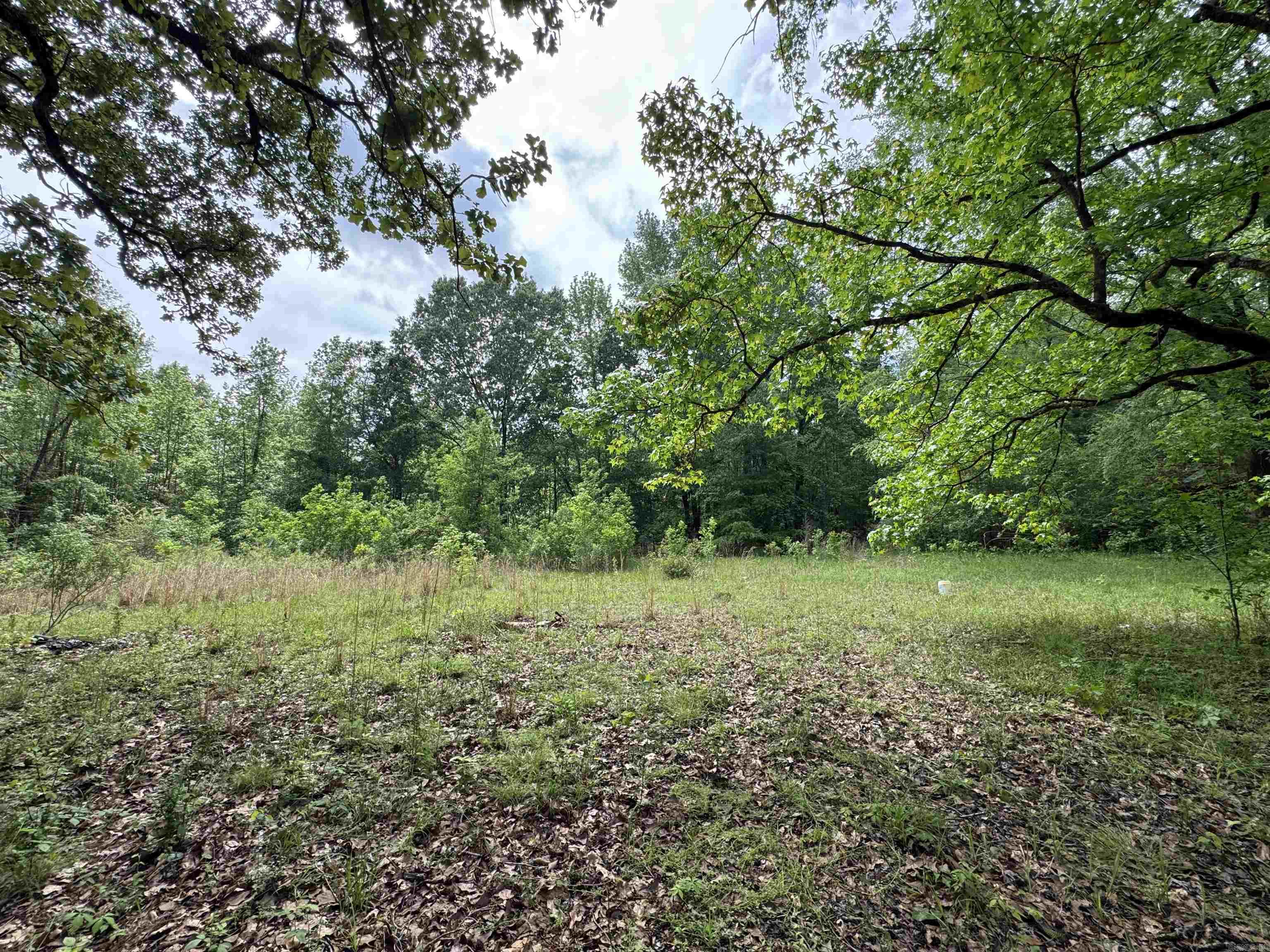 Old home site with beautiful hardwood timber. Could be a good homestead or a smaller recreational tract to hunt. Does have road frontage and access from the road. Utilities are available at the road. Property is located in a FEMA flood zone risk area.