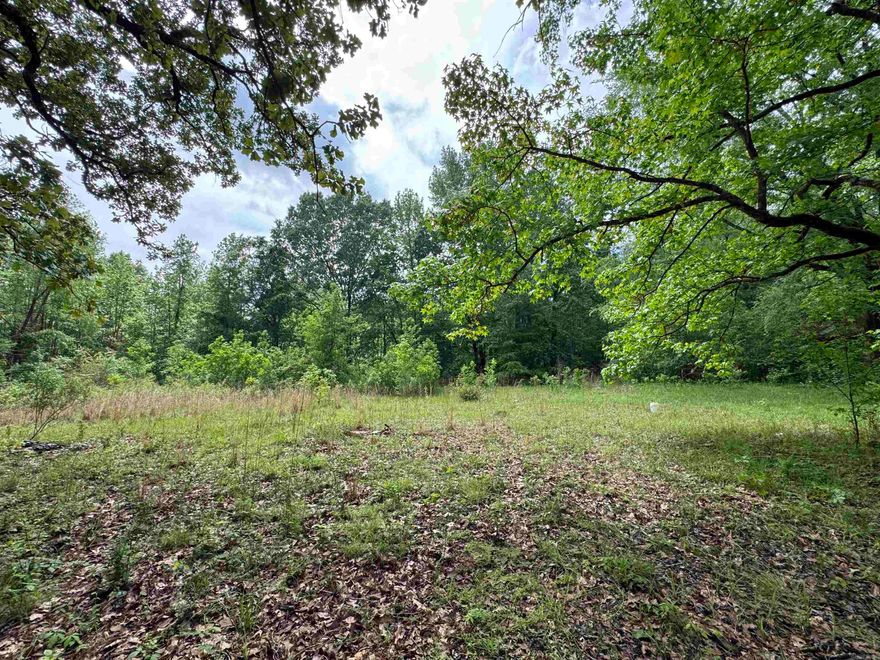 Old home site with beautiful hardwood timber. Could be a good homestead or a smaller recreational tract to hunt. Does have road frontage and access from the road. Utilities are available at the road. Property is located in a FEMA flood zone risk area.