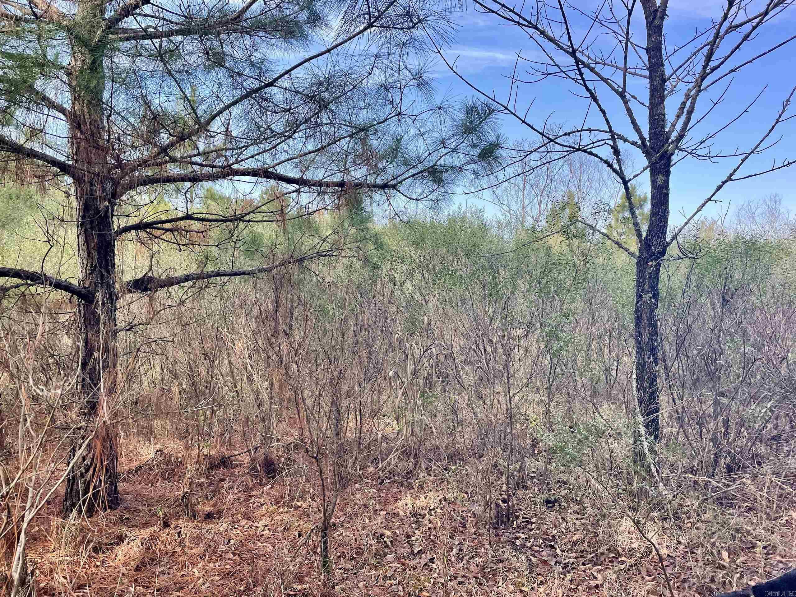 Not in Subdivision - Land