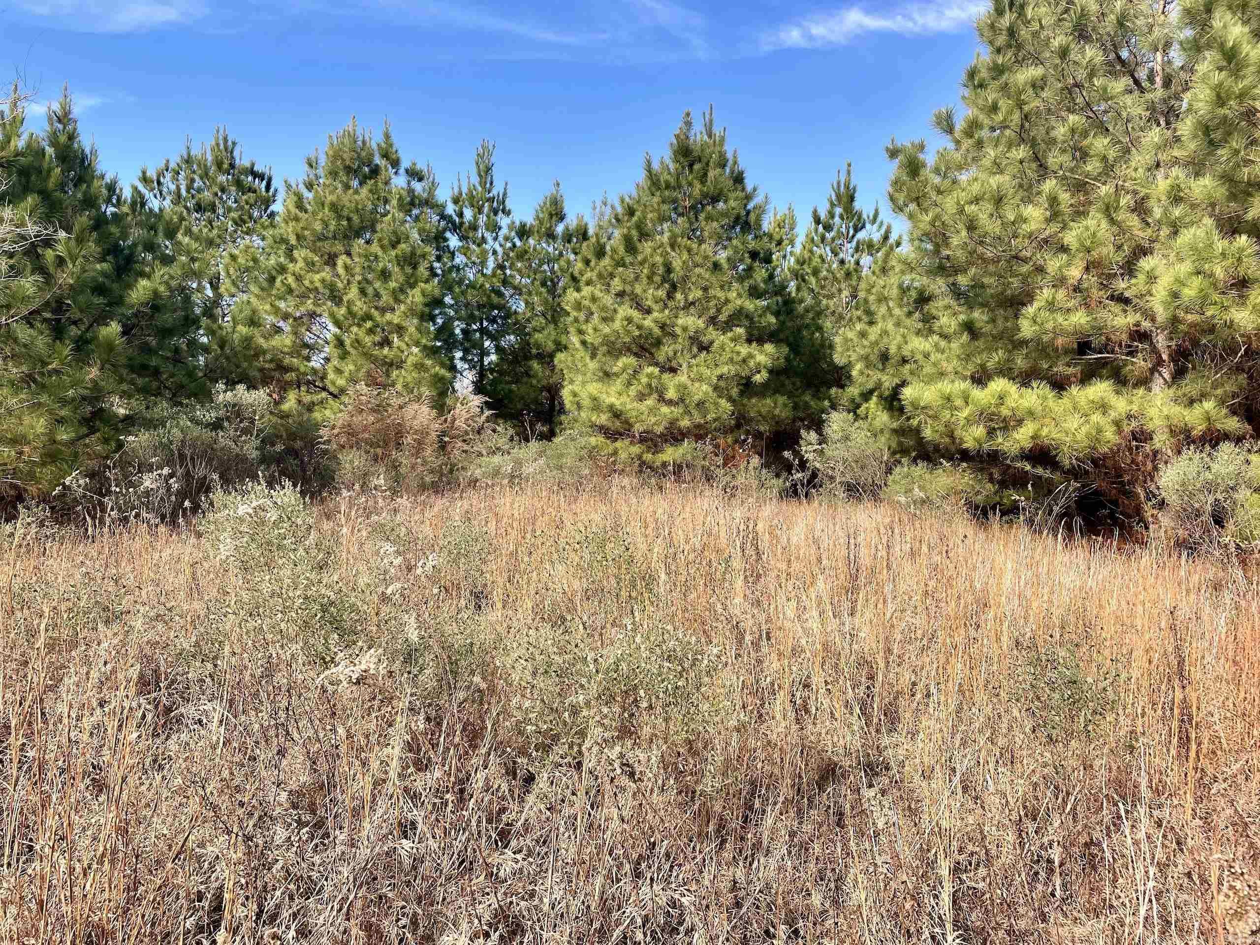 Not in Subdivision - Land