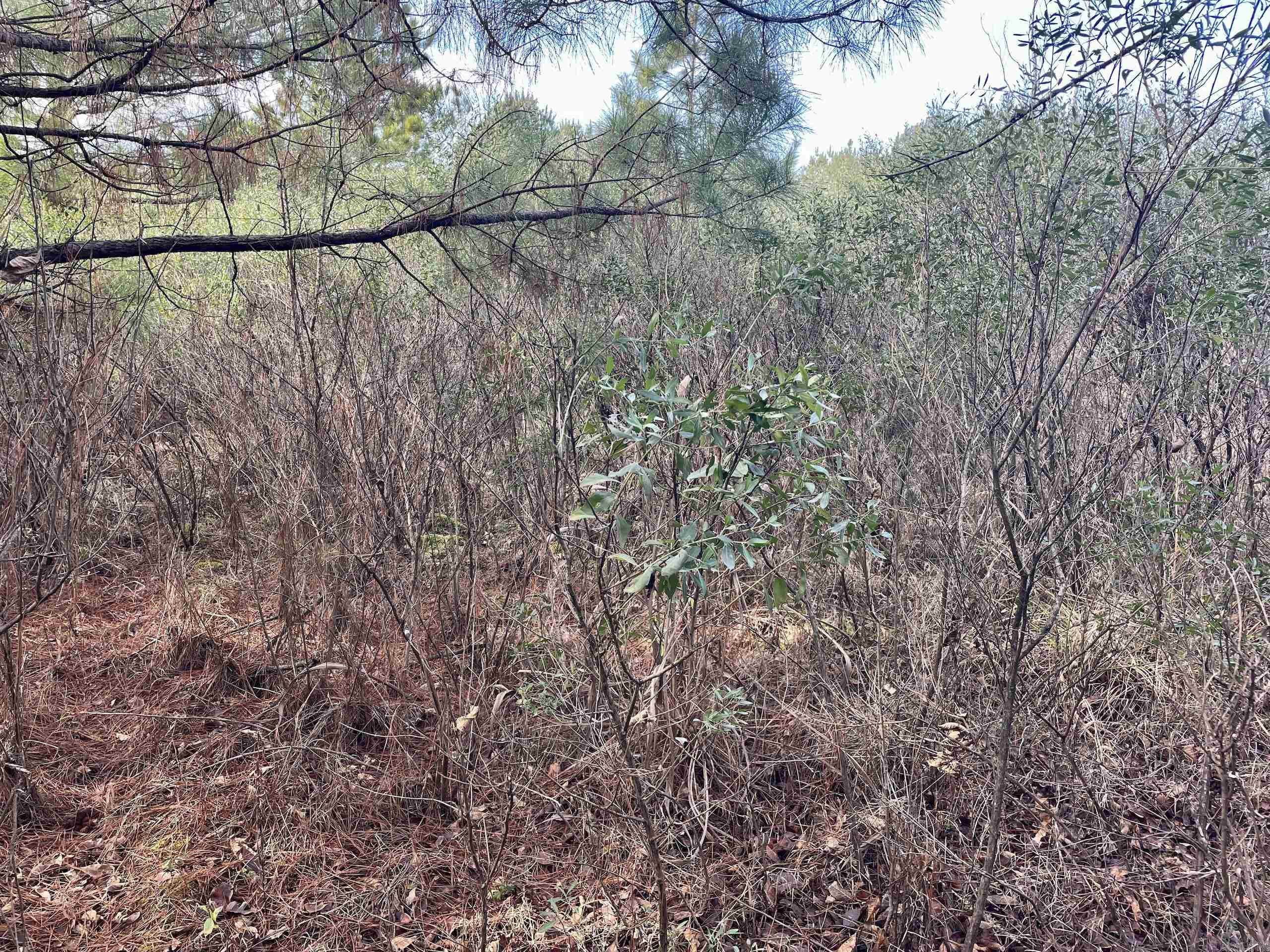 Not in Subdivision - Land