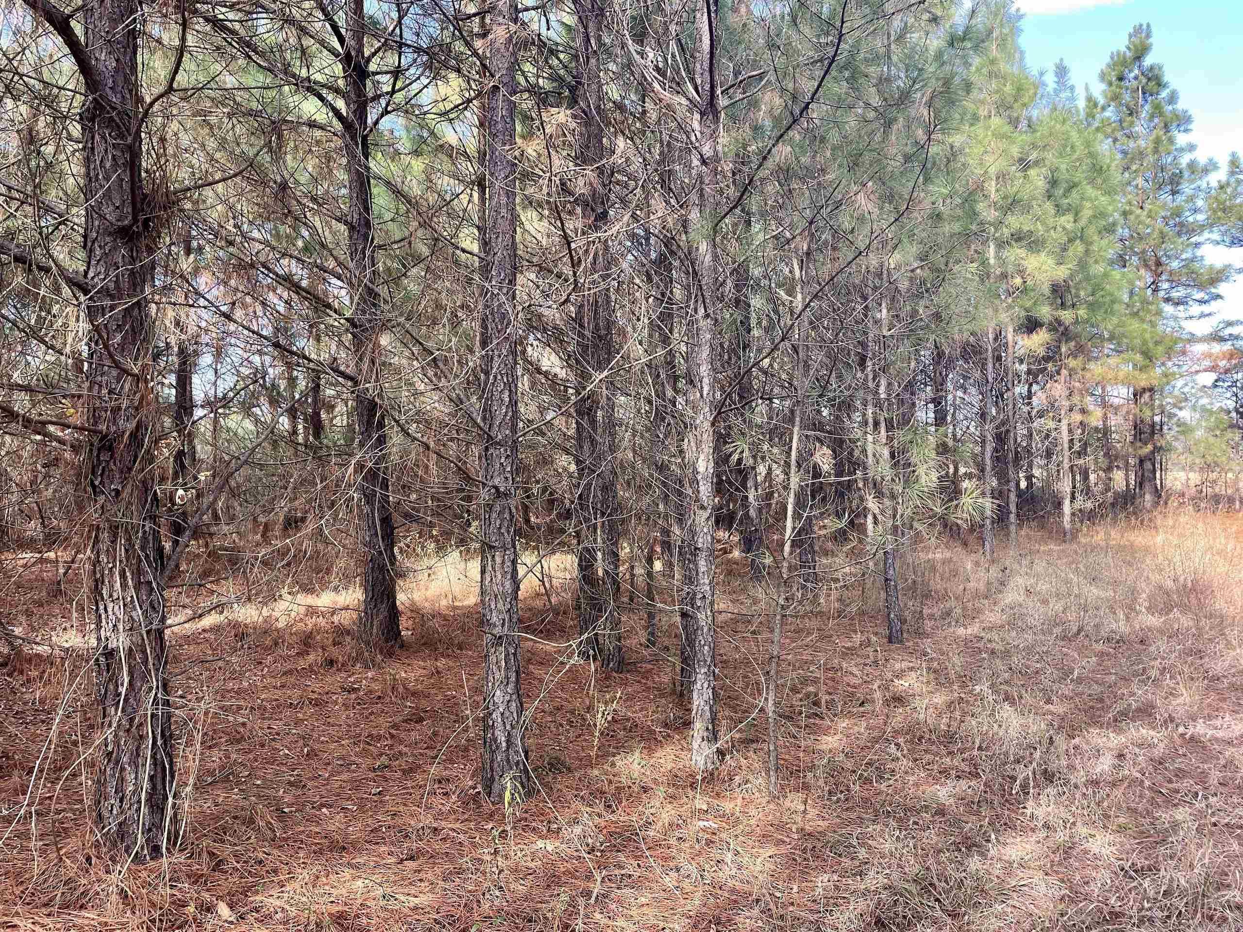 Not in Subdivision - Land