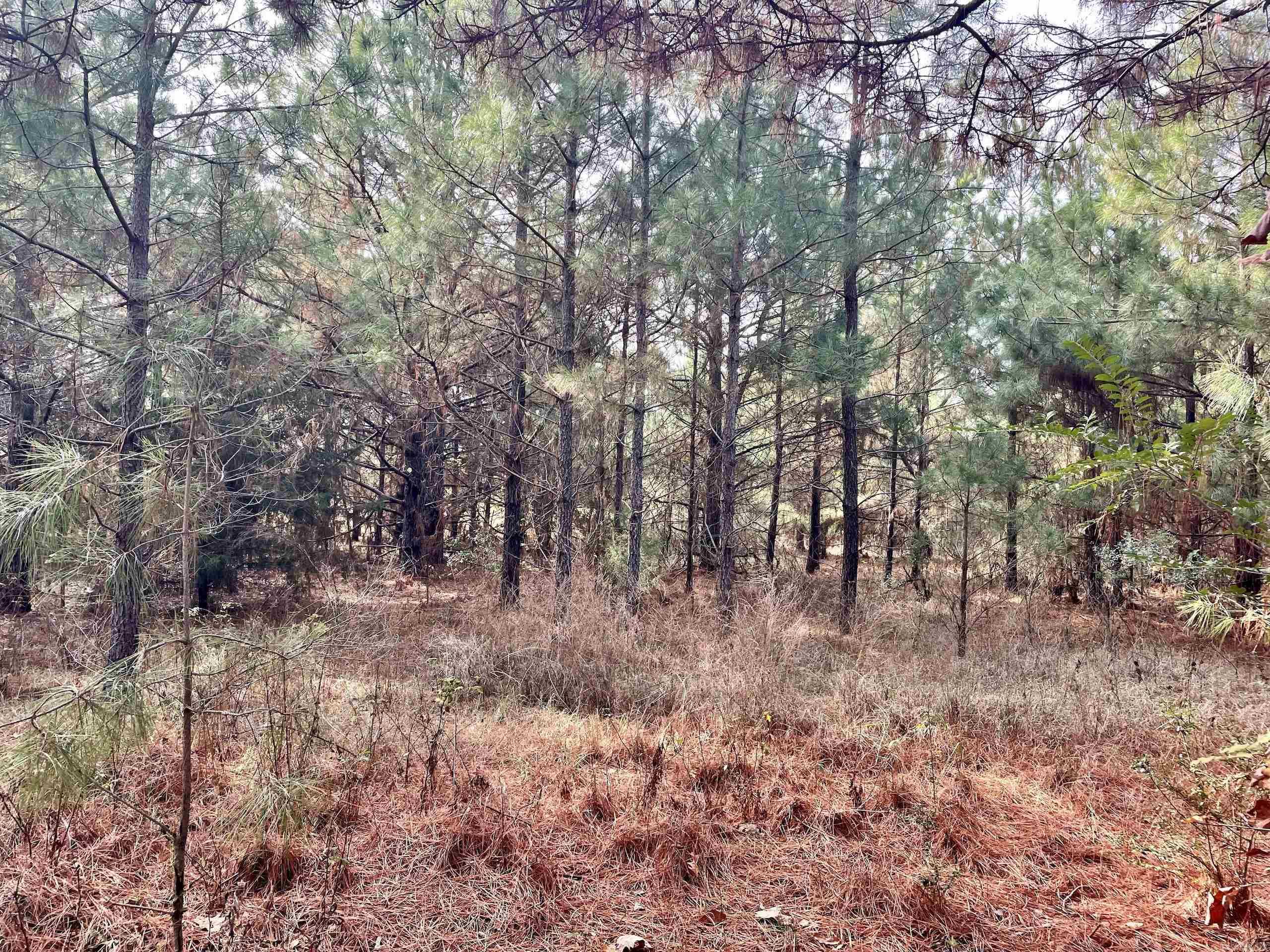 Not in Subdivision - Land