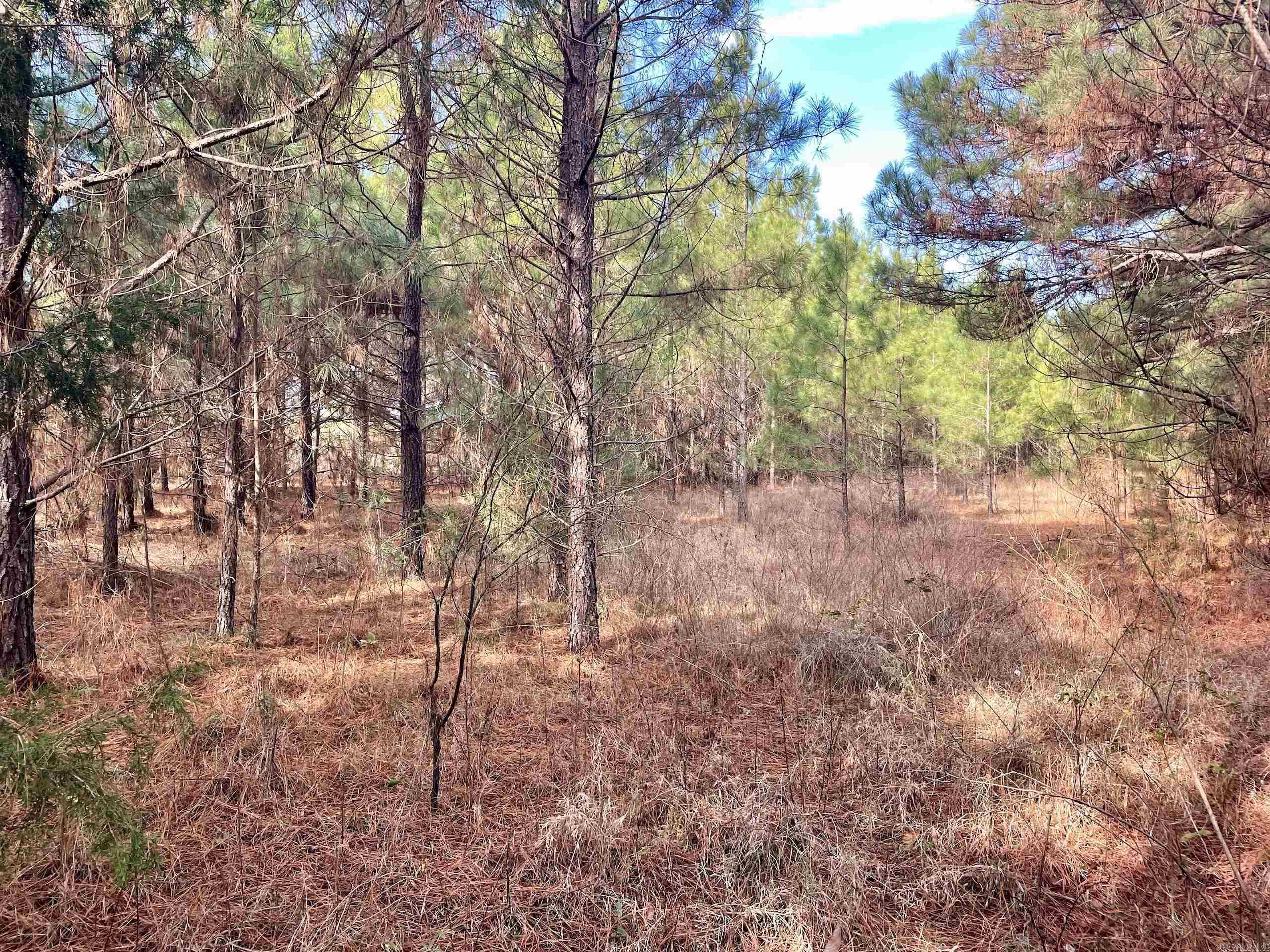 Not in Subdivision - Land