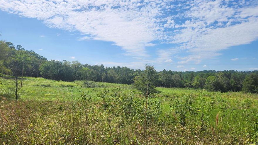 14.55 acres joining Ouachita National Forest on the west side and just minutes away from Lake Ouachita (Highway 27 Fishing Village). This property has a survey and is mostly fenced. Somewhat remote. Power is available, a well will need to be drilled. The mineral rights do convey. View of Vanderslice Mountain. Has a couple nice building spots. Would make a great hunting place. No restrictions.