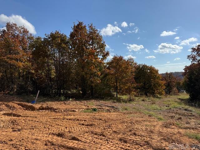 SUMMERLYN SUBDIVISION - Land