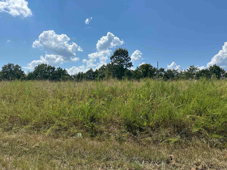 Rare find! 8 acres m/l bordering the Corps of Engineers property near Bull Shoals Lake in Peel, AR. Enjoy direct access to public land for hiking, hunting and exploring, with the lake just minutes away. Wooded setting offers privacy, wildlife, and plenty of room to build your home, cabin or getaway. Conveniently located off HWY 125 and close to marinas, boat launches and the Peel Ferry!