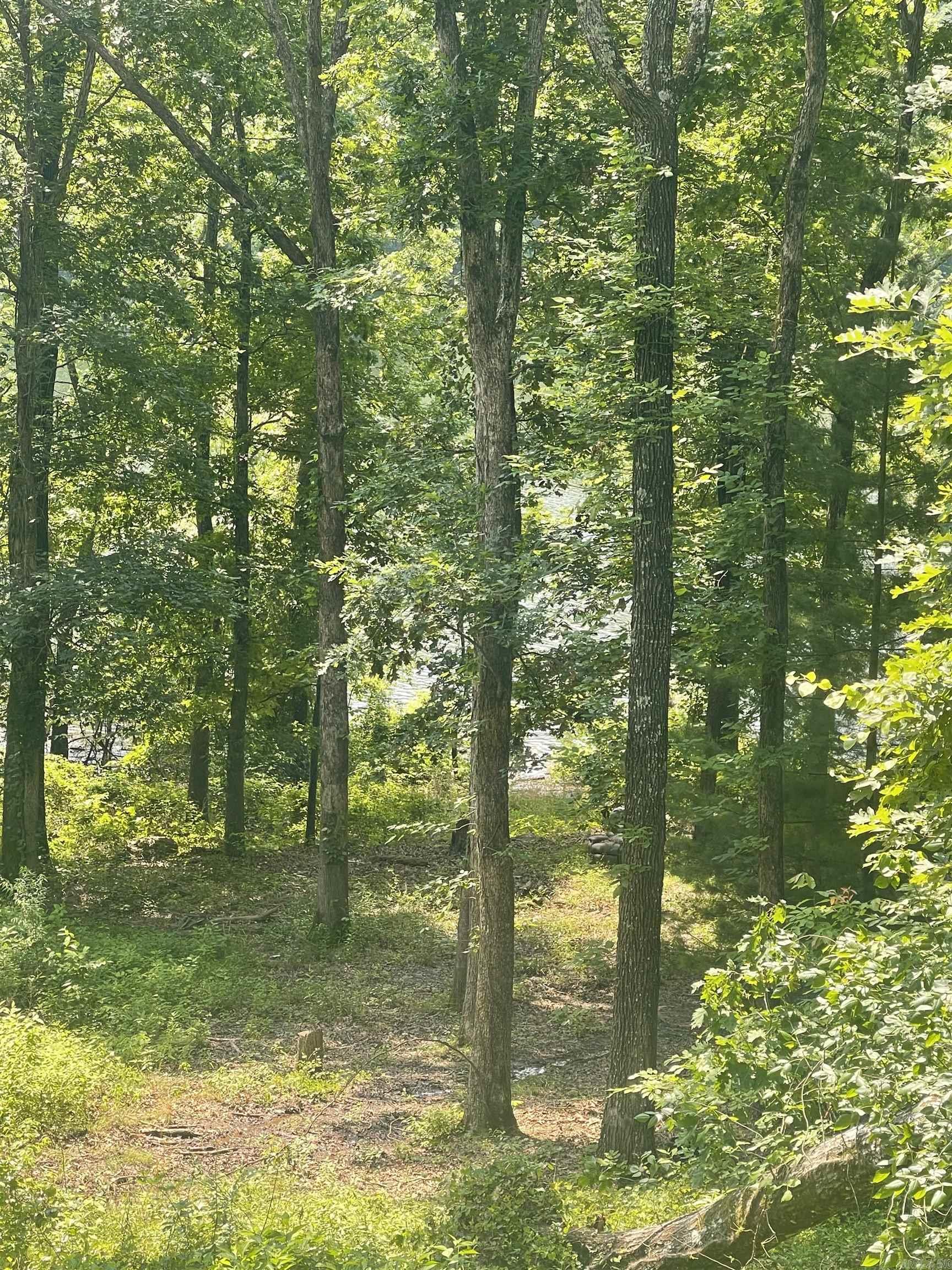 LAKEFRONT/LAKEVIEW lot. A must-see for the lake dwellers. Open up view w/clearing trees. Gentle slope/easy walk to the water. No restrictions. Bring your camper or build a cozy cabin, tiny home, or your dream home. If you like seclusion, this is the lot for you. Not a lot of boat or car traffic.