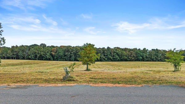 LOT 8 VALLEY RANCH DRIVE, MAYFLOWER, AR 72106 - Image c8ef006f082d75be72b11d796baf5b71/2866204732