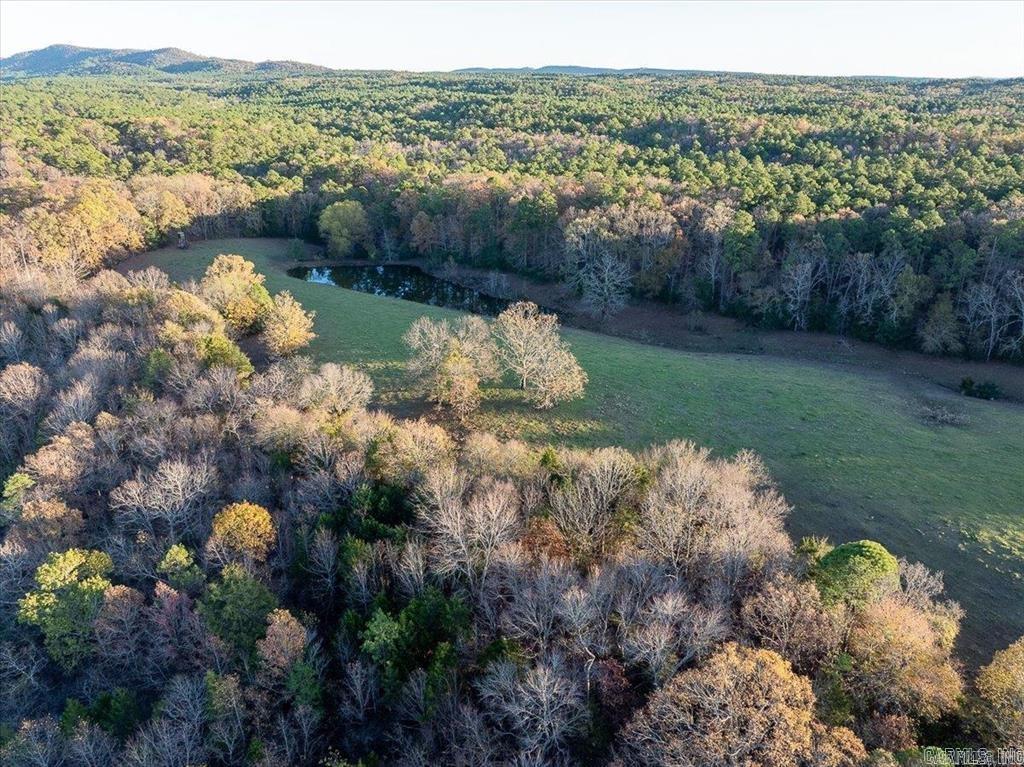 This Property has great Ouachita Mountain views with a couple of nice building sites and a pond. This property is at the end of the easement Road ! Lots of privacy with this one! Close to the Ouachita National Forest with lots of room to go and play! This Property is accessed by an easement road off of Polk Road 295.