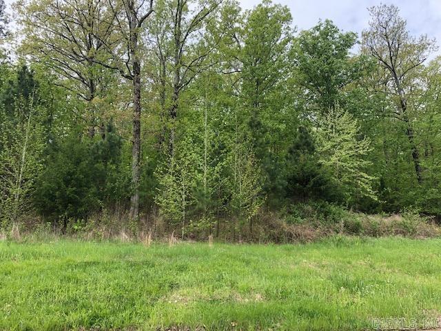 ONE STEP AWAY from your back door to The Course at Eagle Mountain! Go to work and then come home to PLAY golf all evening in your backyard! Lot 8 contains 1.78 ACRES and is ready for you to build your DREAM HOME! Designed for leisurely living, Mountain Ridge subdivision is the perfect place to call home.
