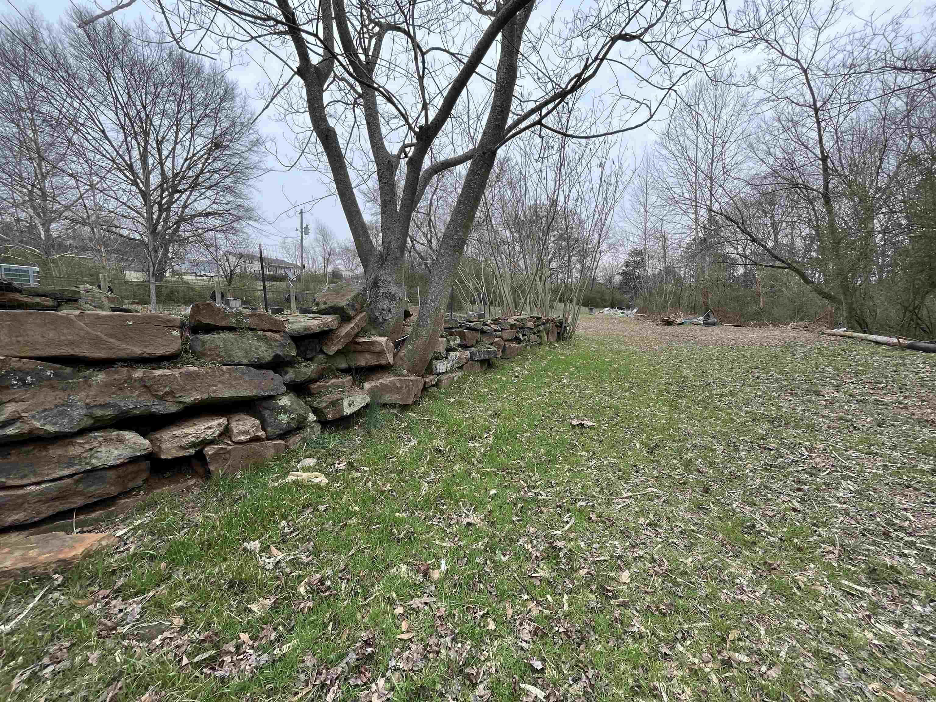 Clinton Original - Residential