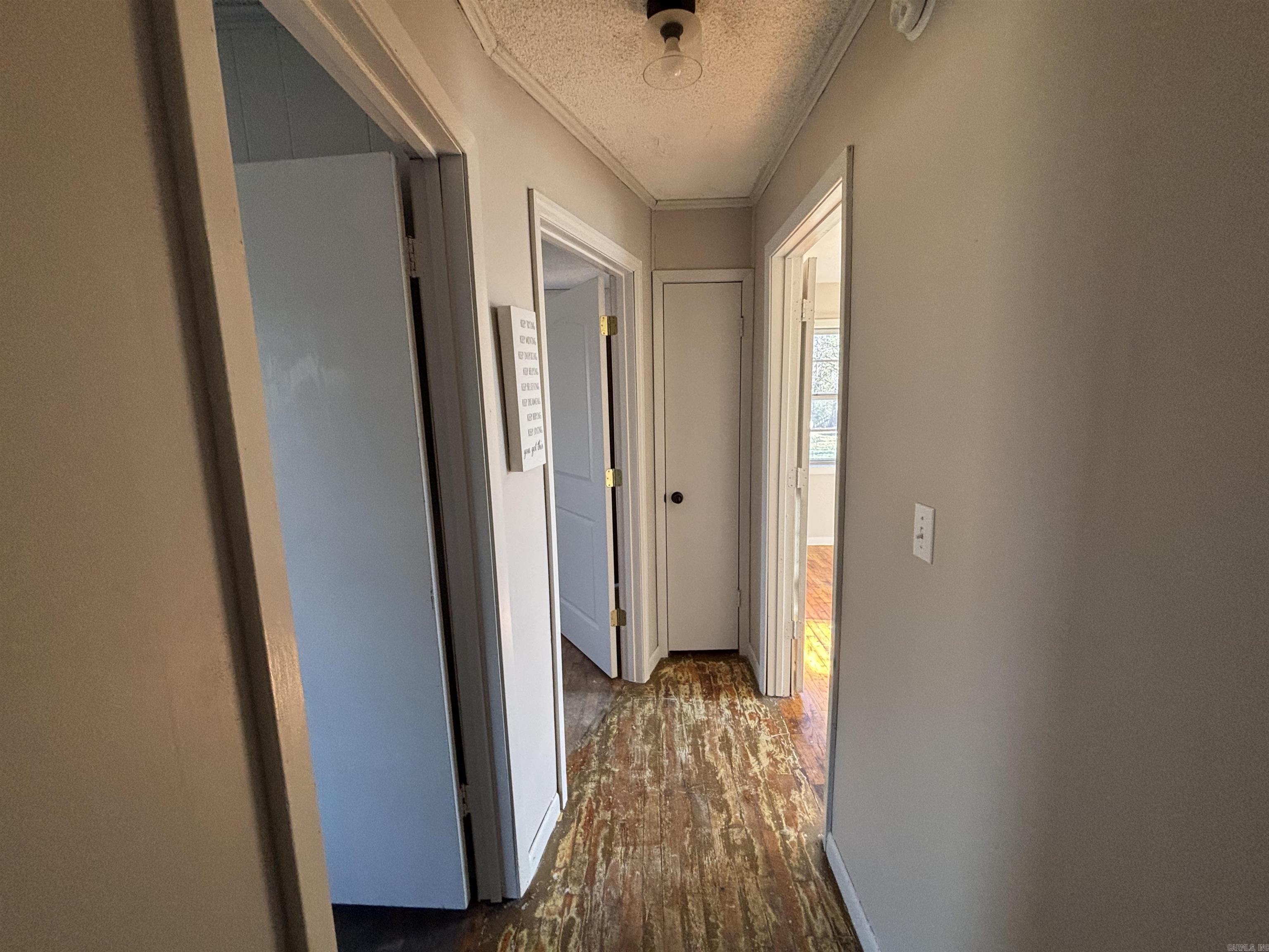 RANEYS - Residential