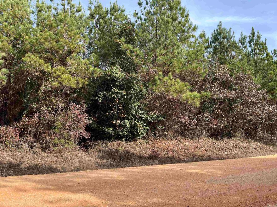 Beautiful area for your dream home just outside of town with no restrictions. Land has been partially cleared and preliminary perk test has been completed. Mobiles allowed.
