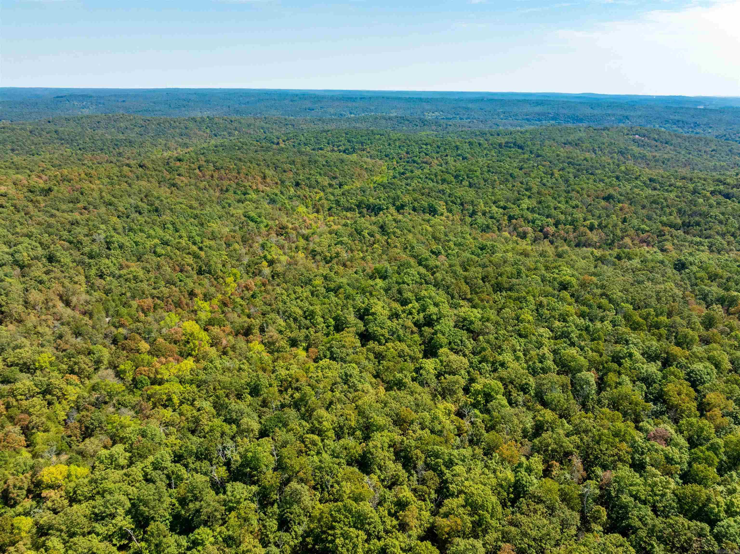 McFadden to the Bluffs - Land