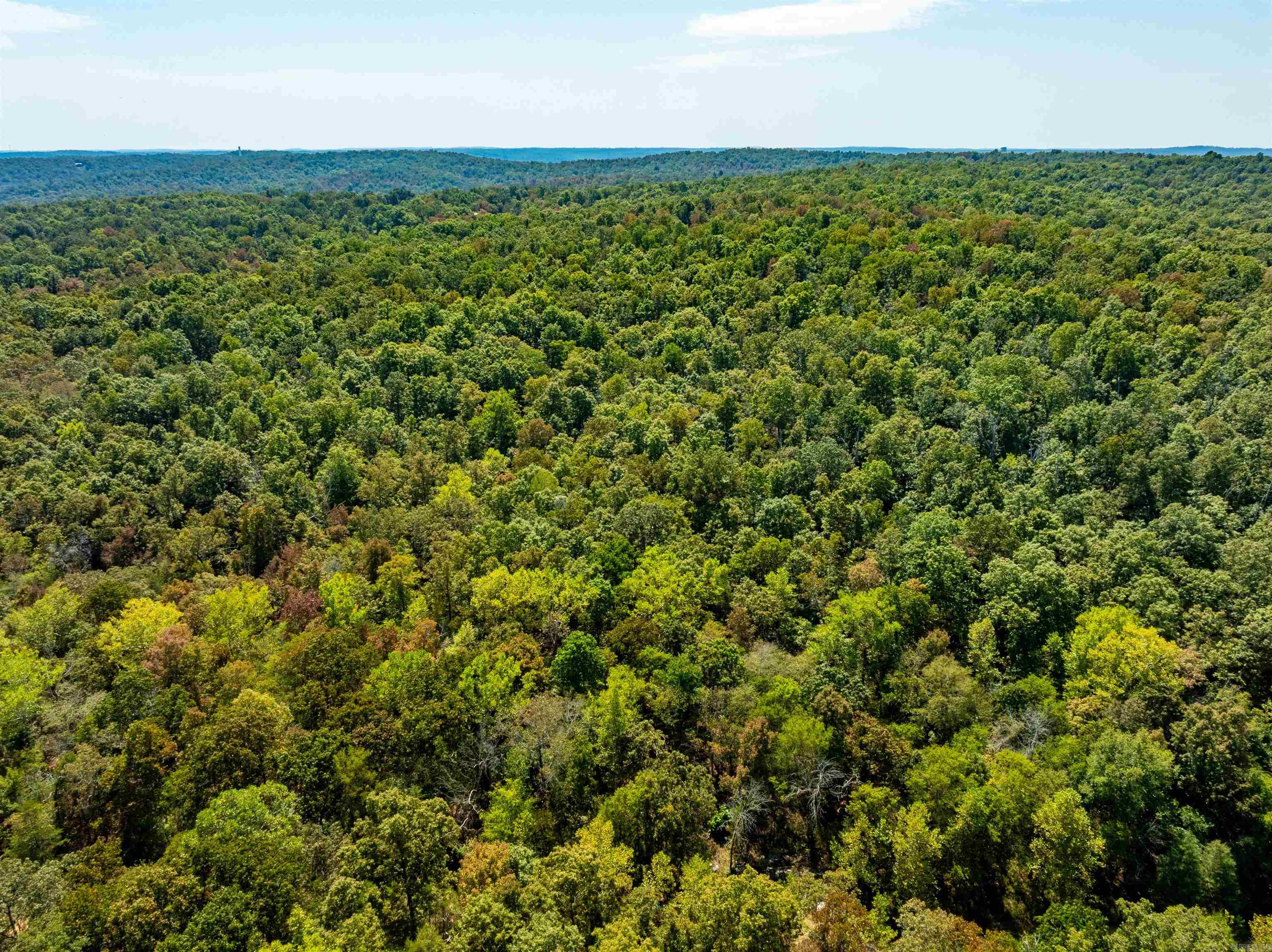 McFadden to the Bluffs - Land
