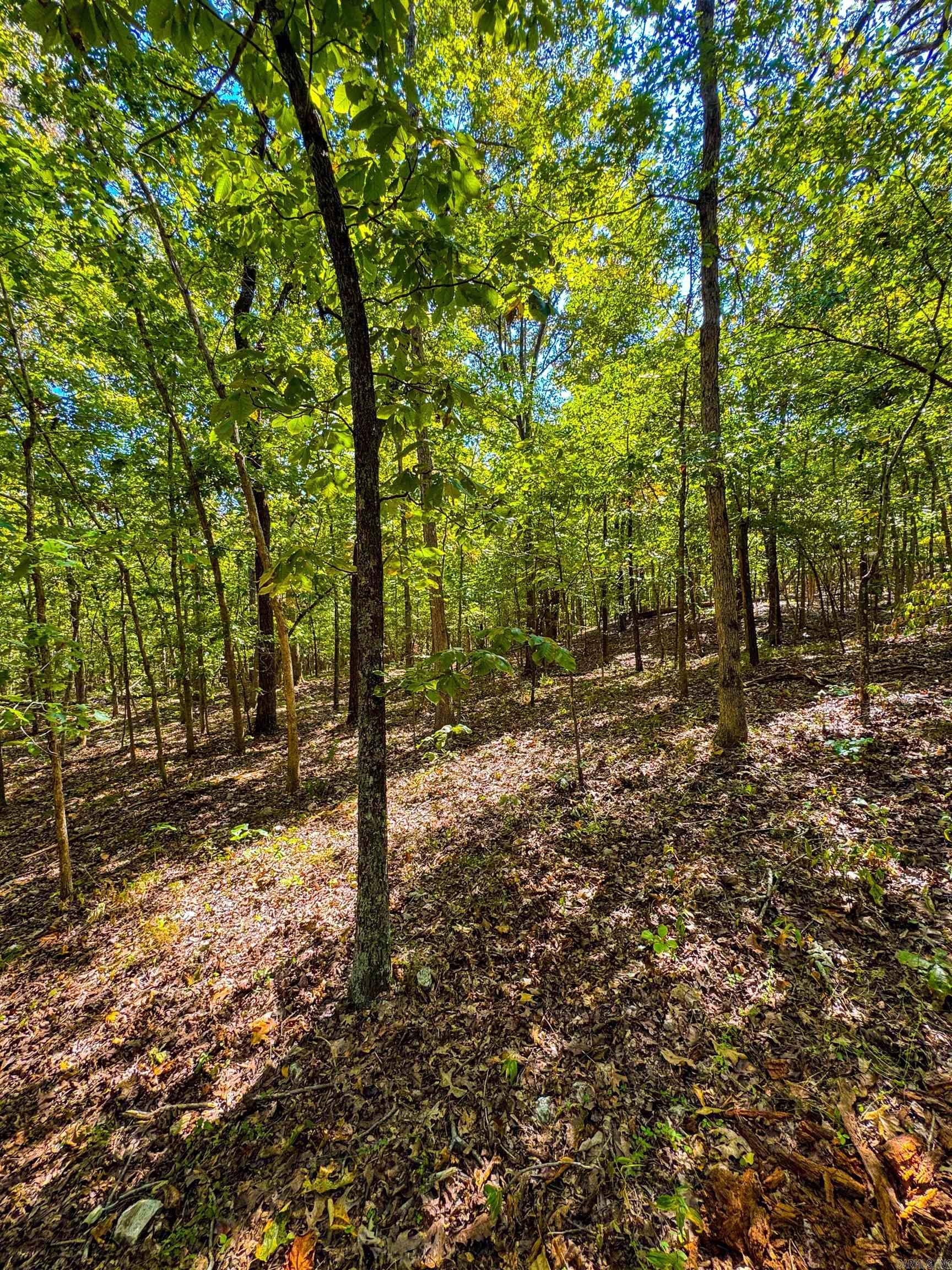 McFadden to the Bluffs - Land