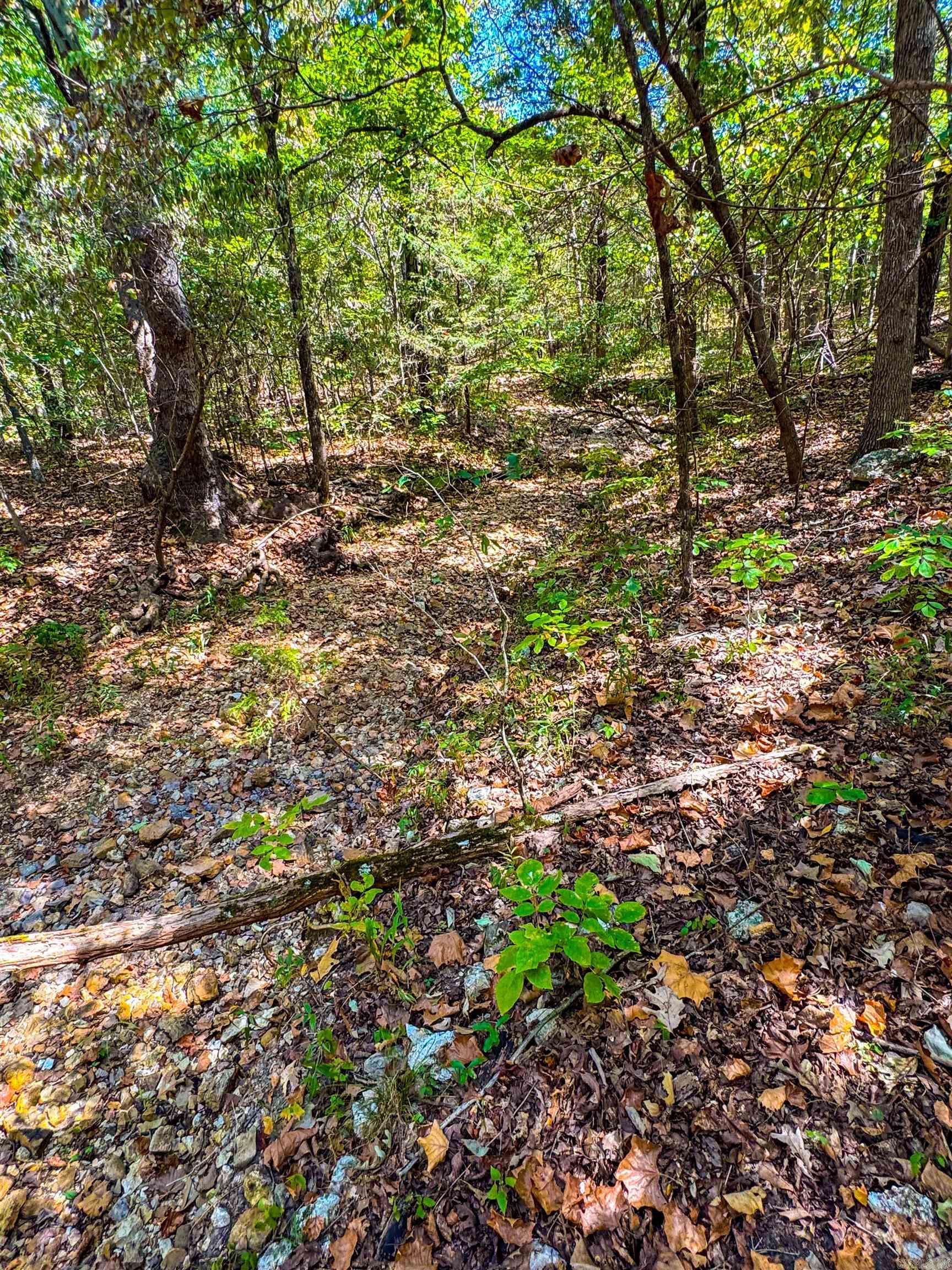 McFadden to the Bluffs - Land