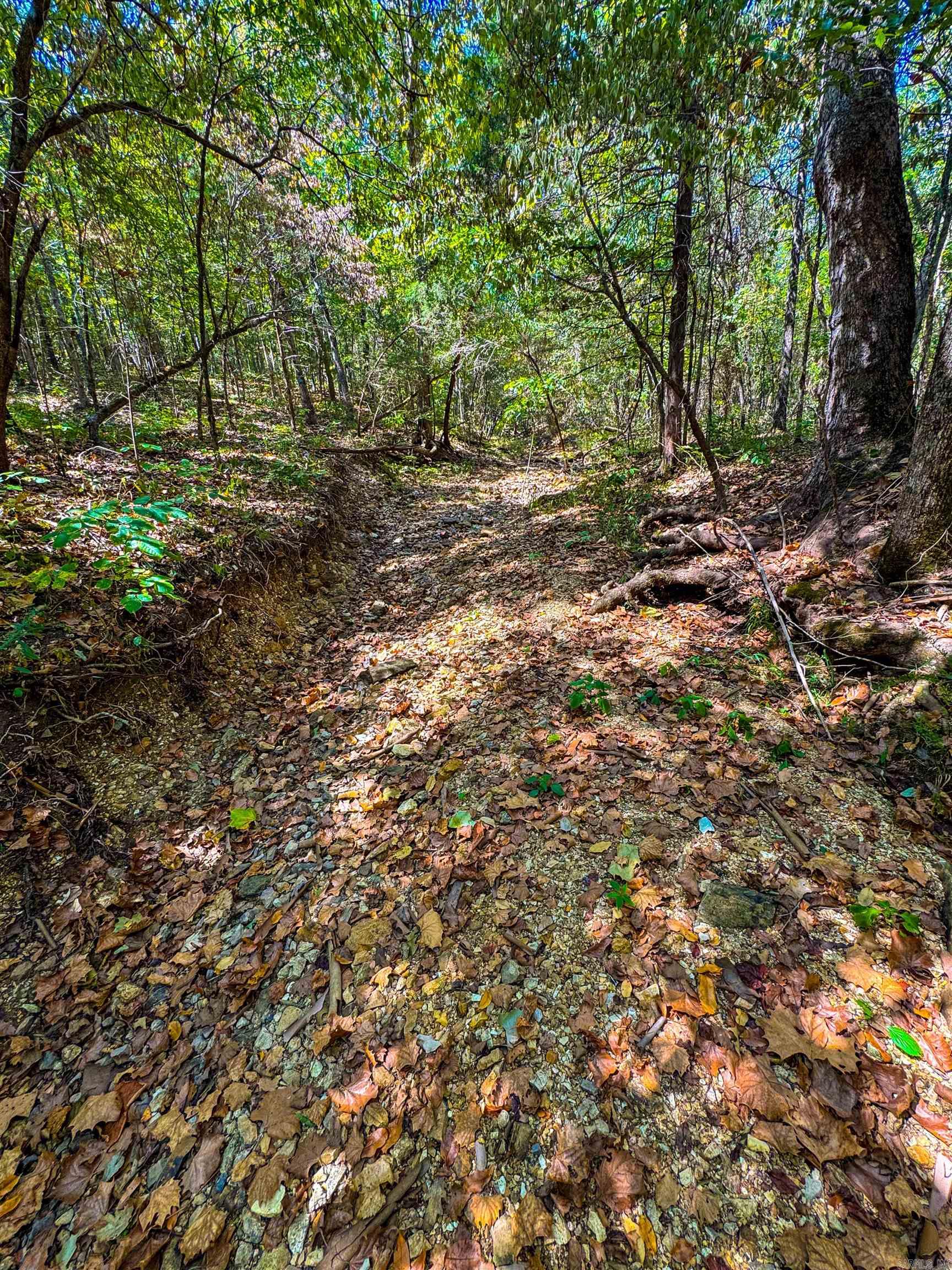 McFadden to the Bluffs - Land