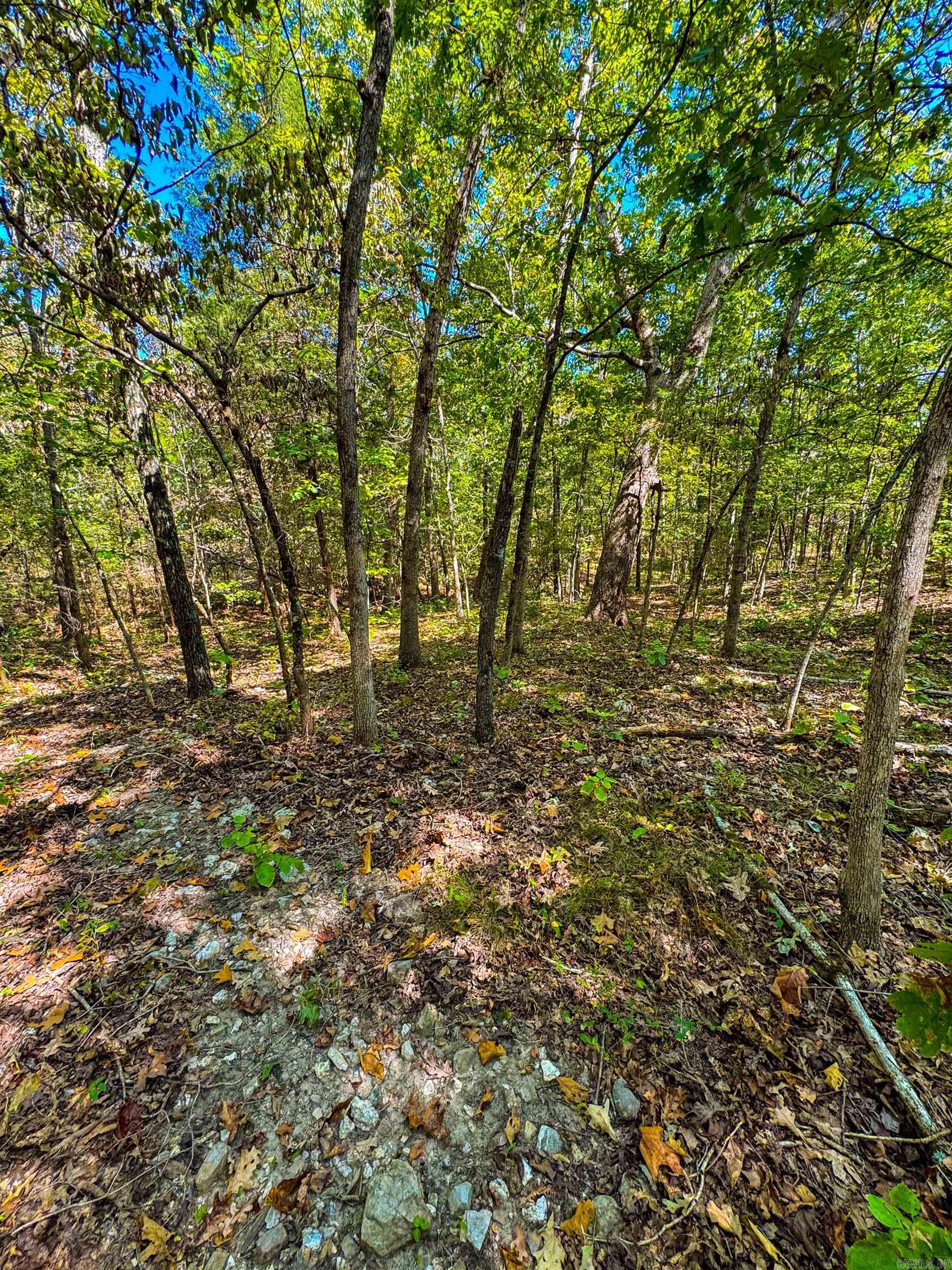 McFadden to the Bluffs - Land