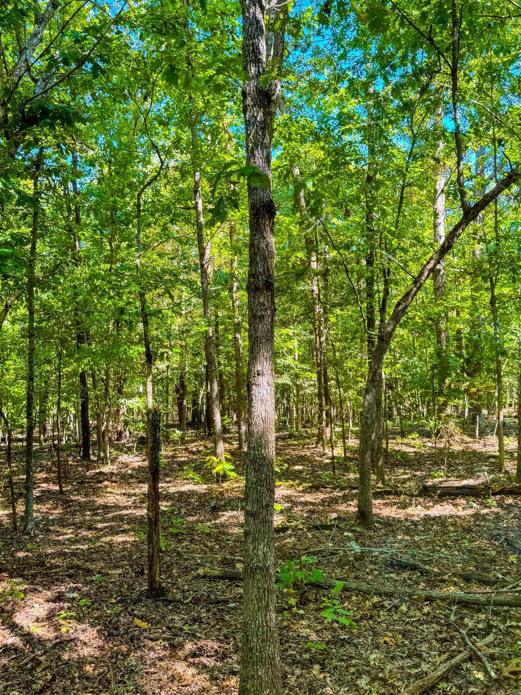 McFadden to the Bluffs - Land
