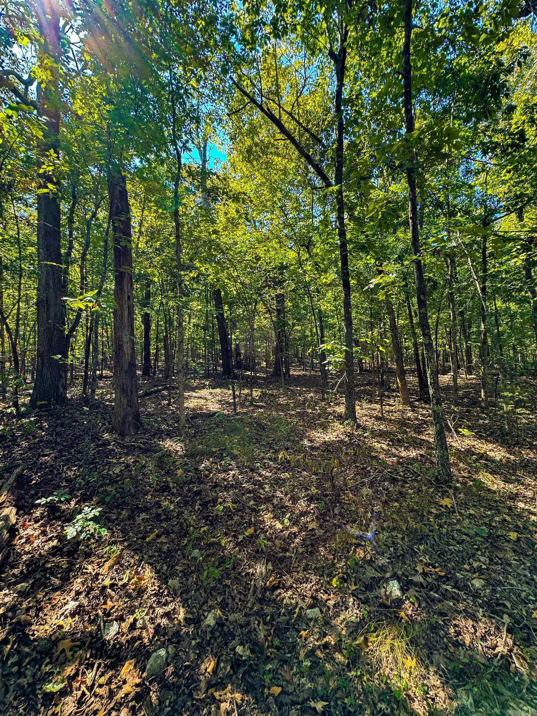 McFadden to the Bluffs - Land