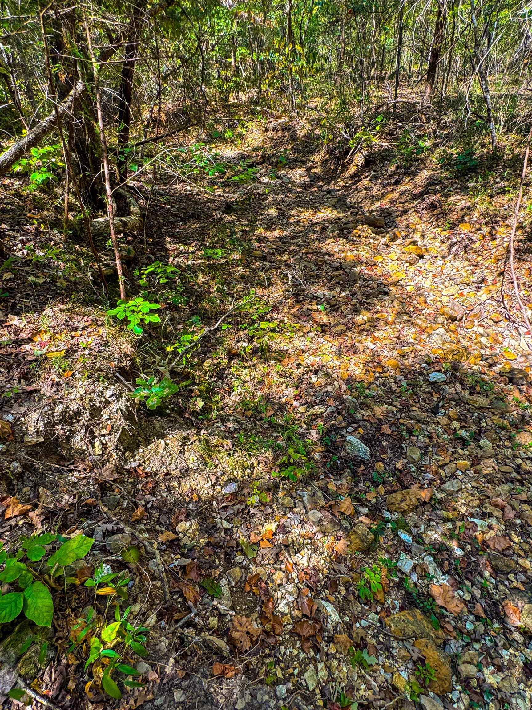 McFadden to the Bluffs - Land