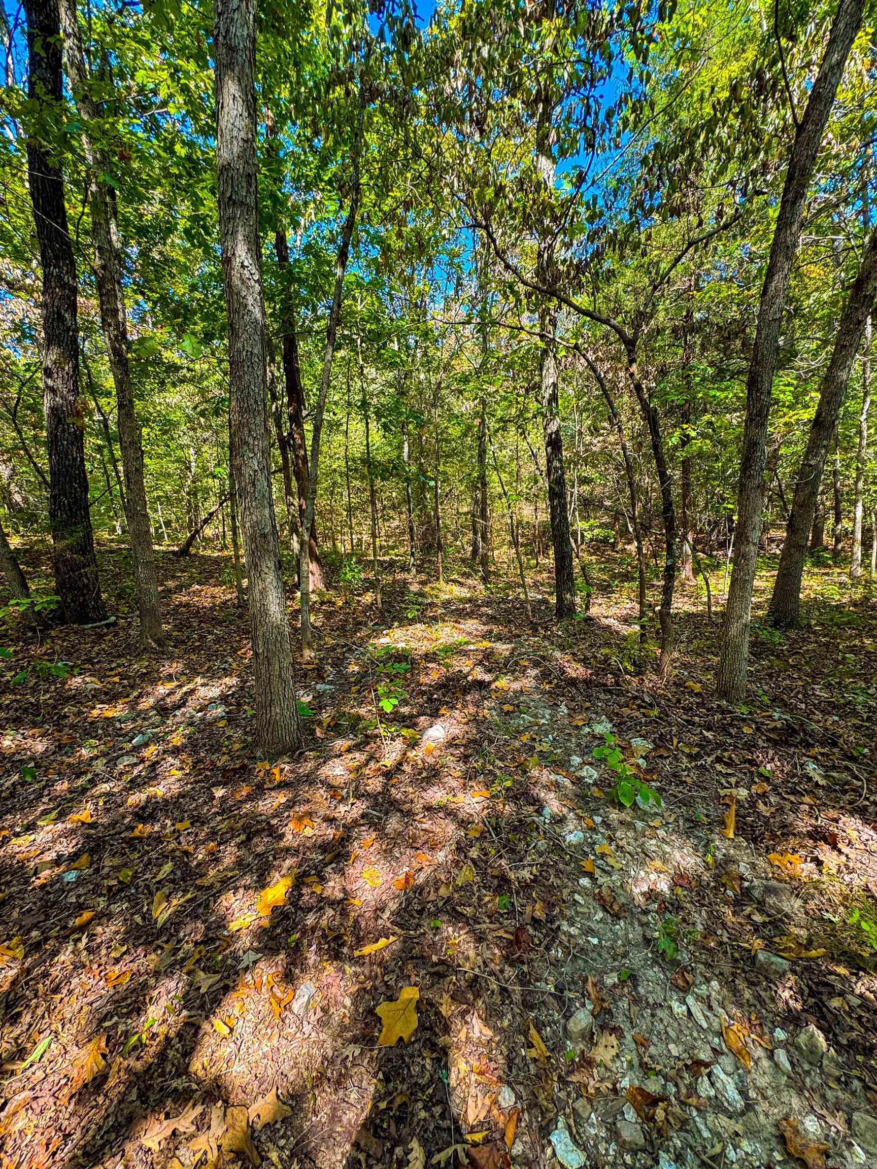 McFadden to the Bluffs - Land